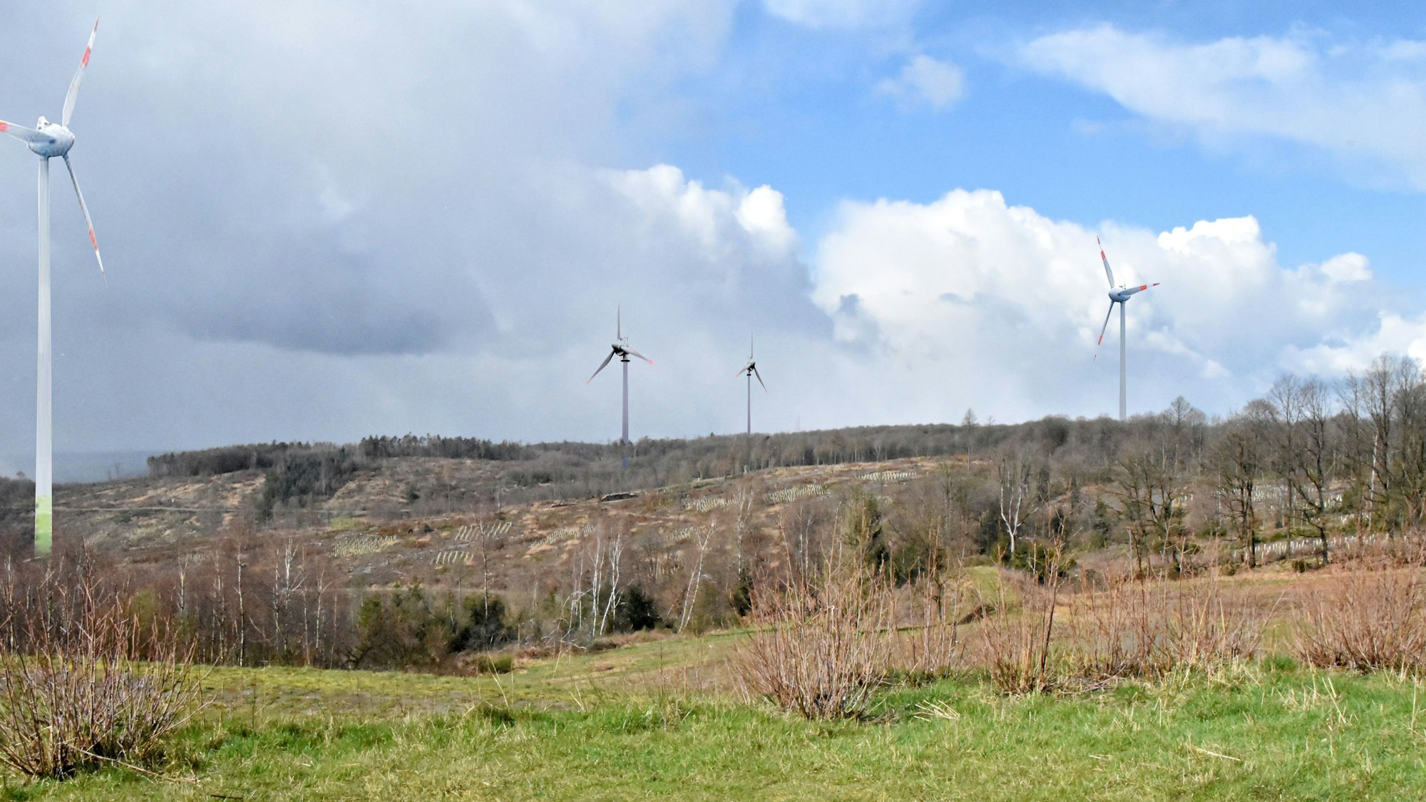 Vier Windräder stehen auf einer kahlen Fläche.