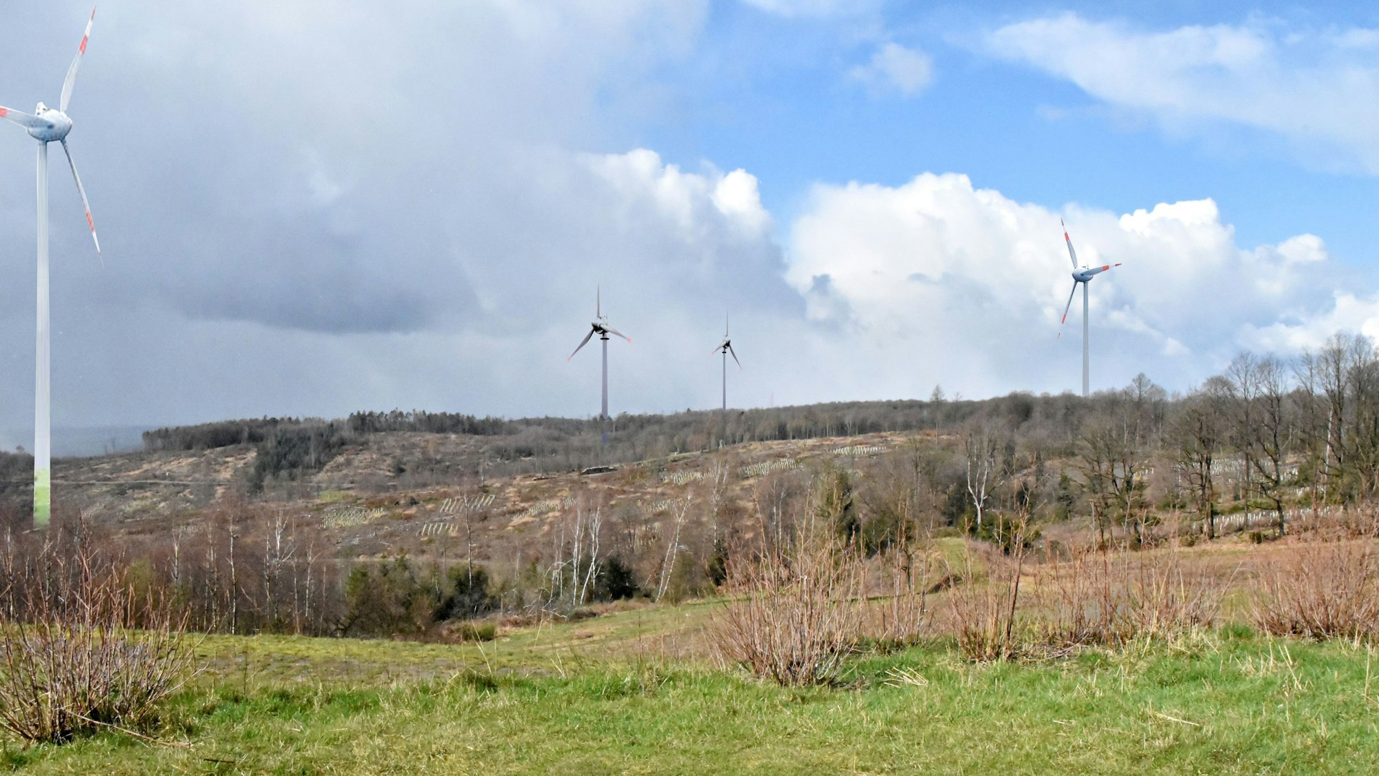 Blick vom Hohen Wäldchen Richtung Westen, auf der Windräder montier worden sind.