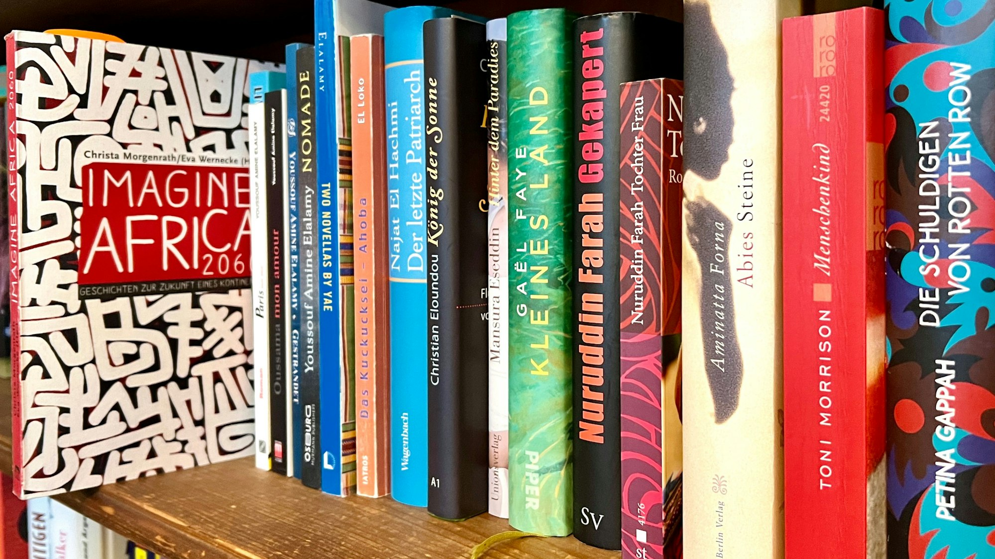 stimmen afrikas & Theodor Wonja Michael Bibliothek ziehen zusammen, Bücher