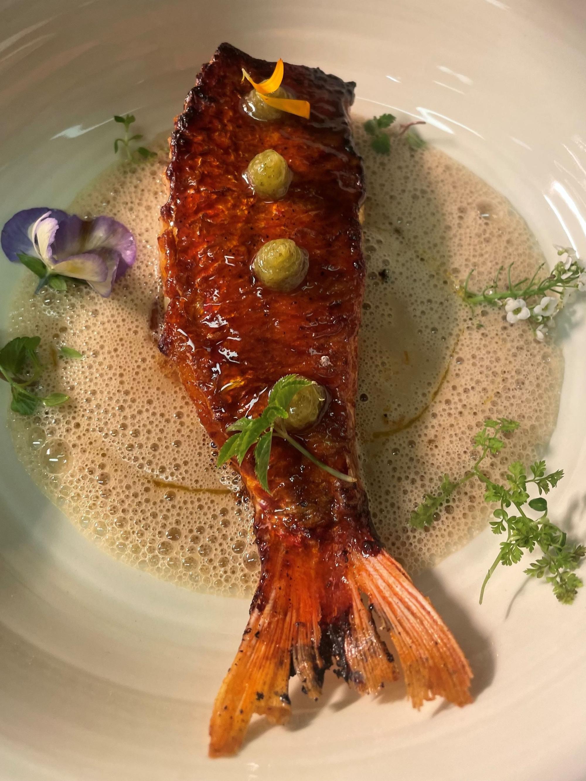 Einer von drei Tellern eines Hauptgangs im Le Moissonnier: Bretonische Rotbarbe auf Holzkohle gegrillt, dazu Champagner-Fenchel-Sauce und Zitronen-Gel nach Mojito-Art.