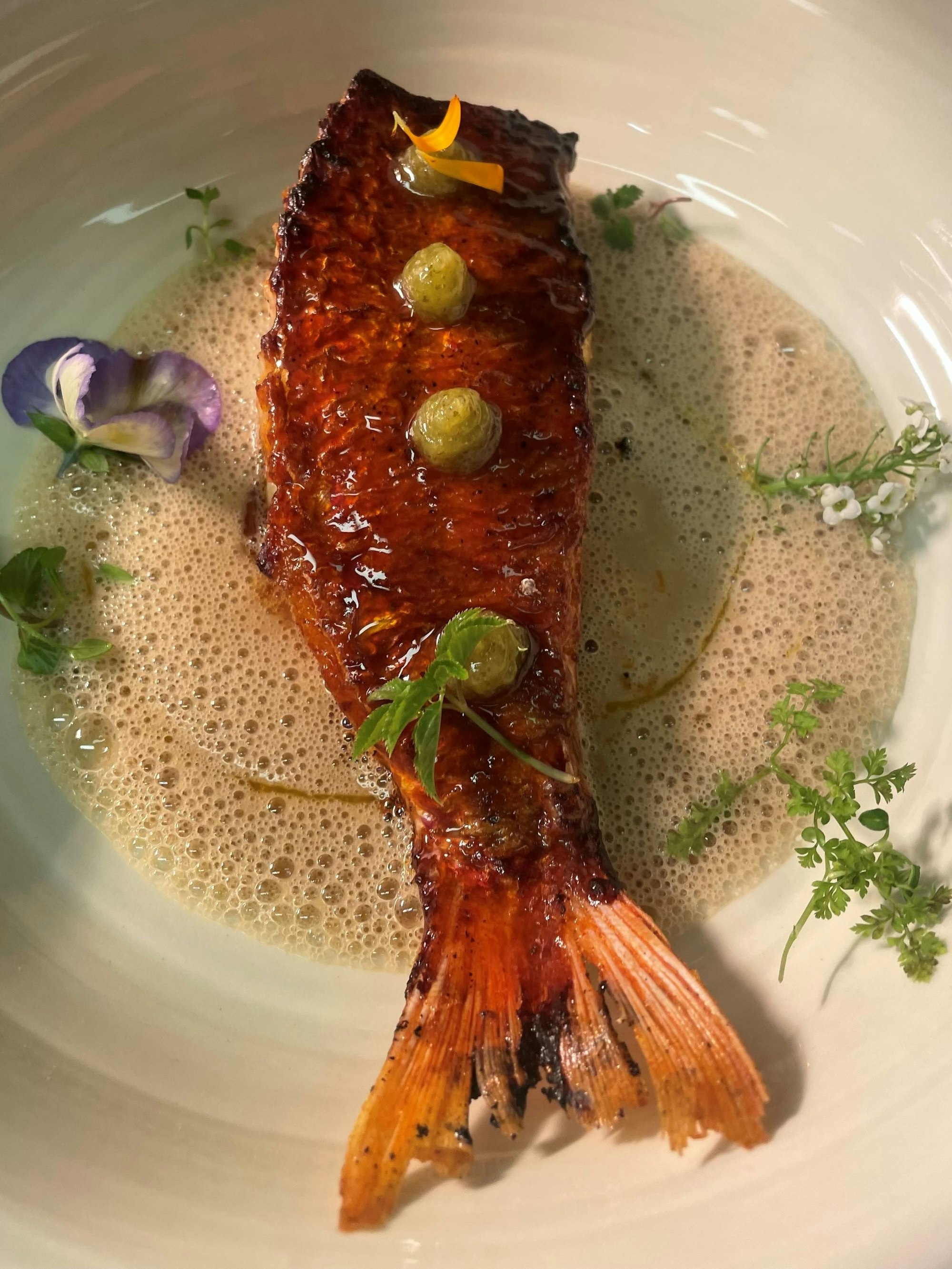 Einer von drei Tellern eines Hauptgangs im Le Moissonnier: Bretonische Rotbarbe auf Holzkohle gegrillt, dazu Champagner-Fenchel-Sauce und Zitronen-Gel nach Mojito-Art.