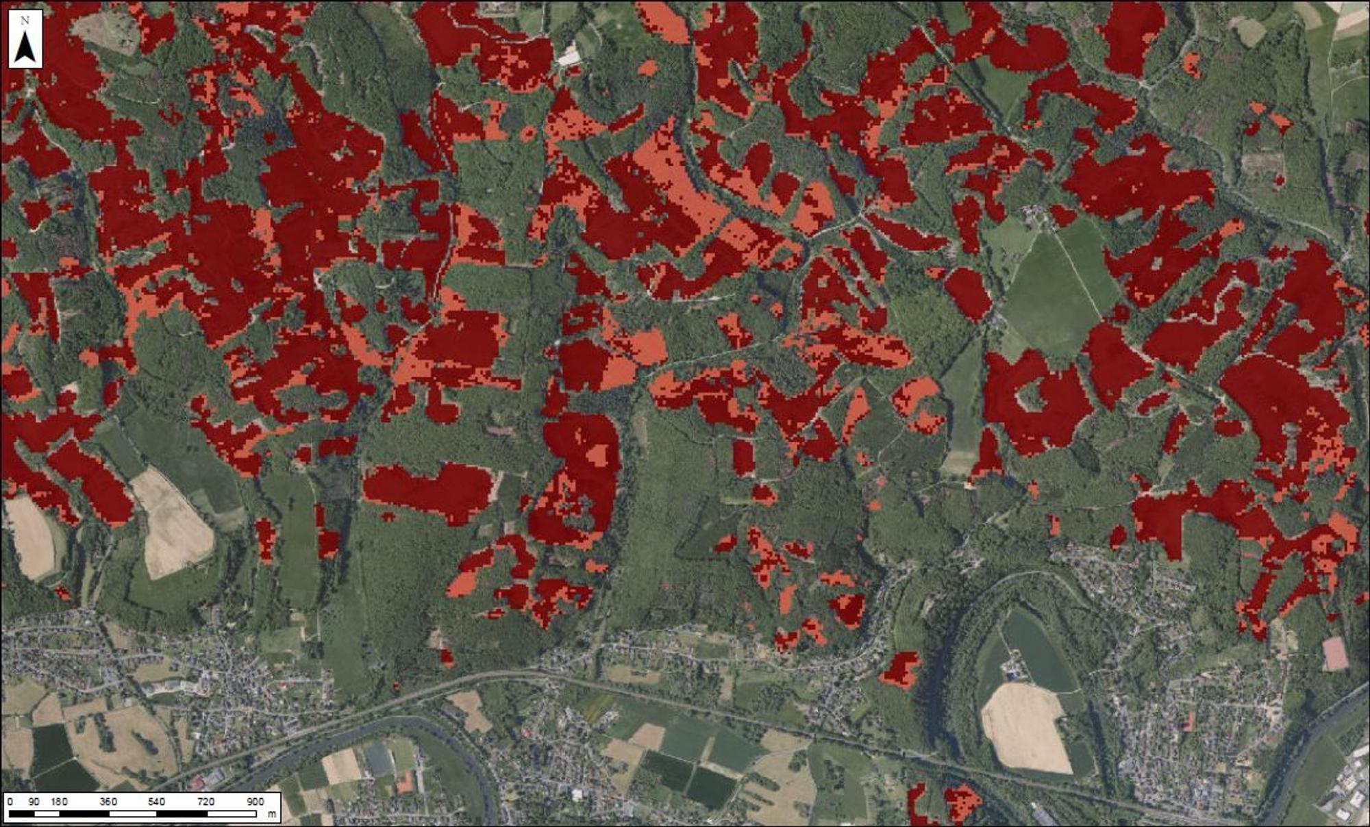 Dunkelrote Bereiche: Tote Bäume, bereits gefällt und komplett abgeräumt; hellrote Bereiche: Abgestorbene Fichten.