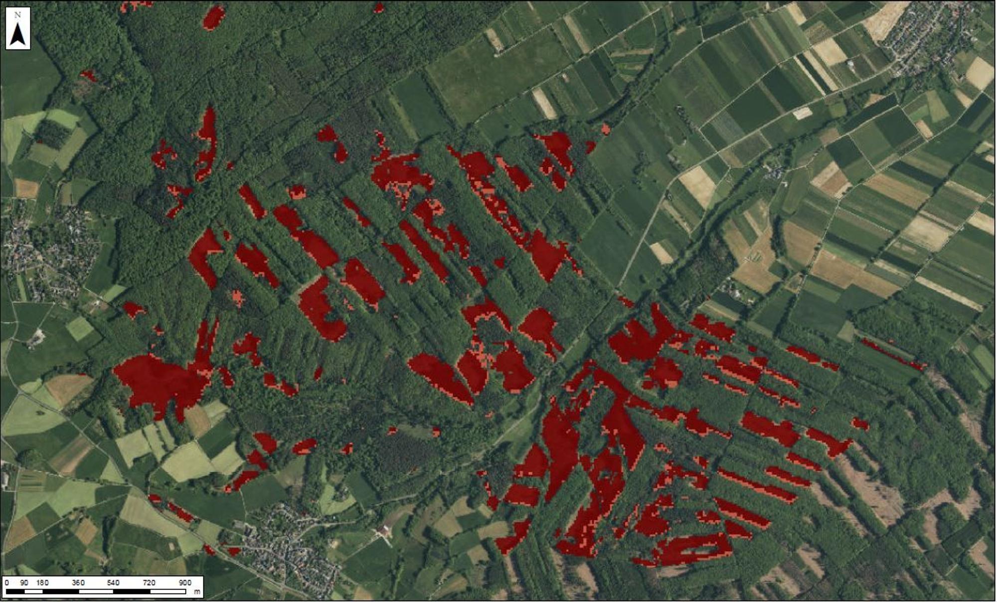 Dunkelrote Bereiche: Tote Bäume, bereits gefällt und komplett abgeräumt; hellrote Bereiche: Abgestorbene Fichten.