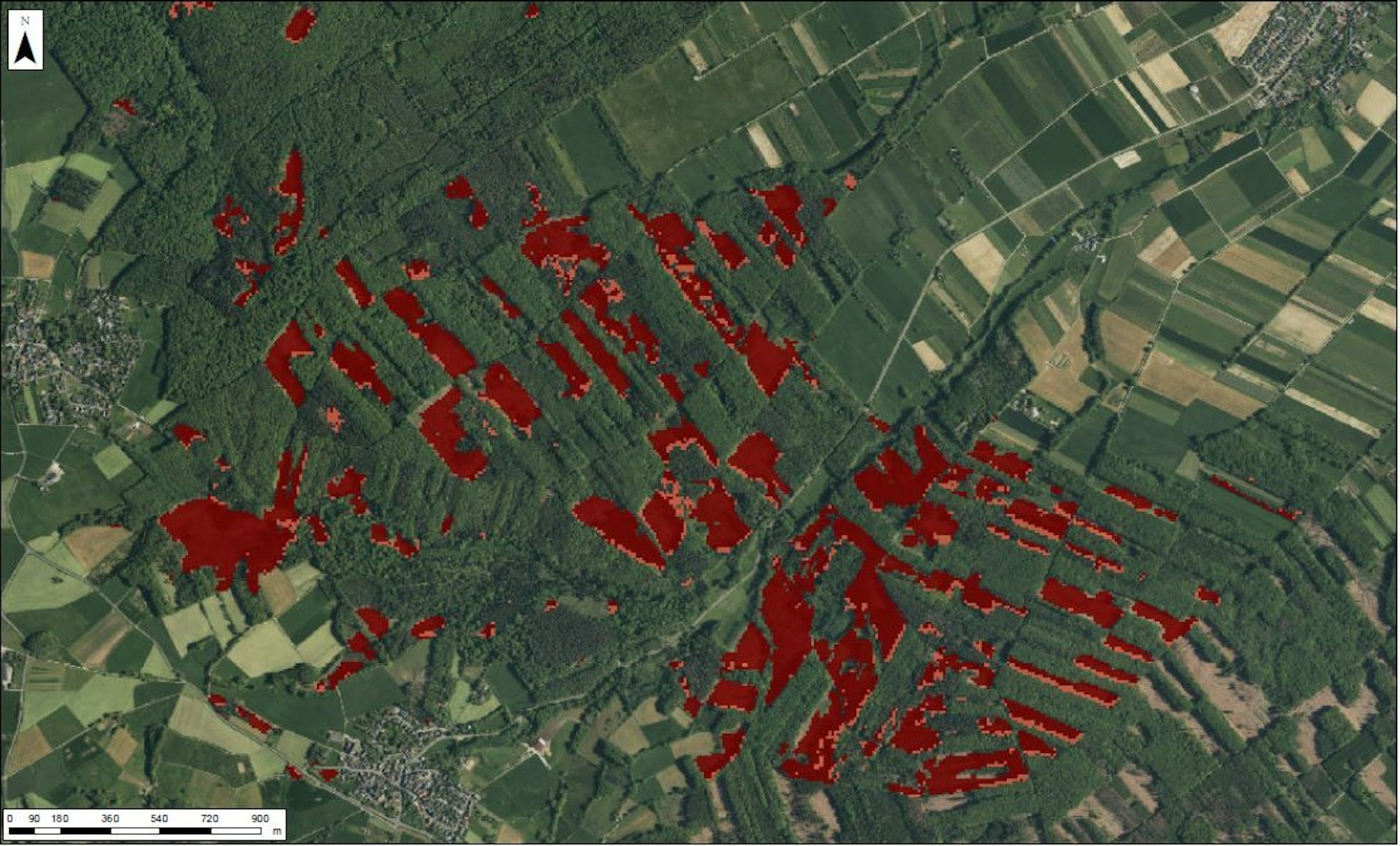 Dunkelrote Bereiche: Tote Bäume, bereits gefällt und komplett abgeräumt; hellrote Bereiche: Abgestorbene Fichten.