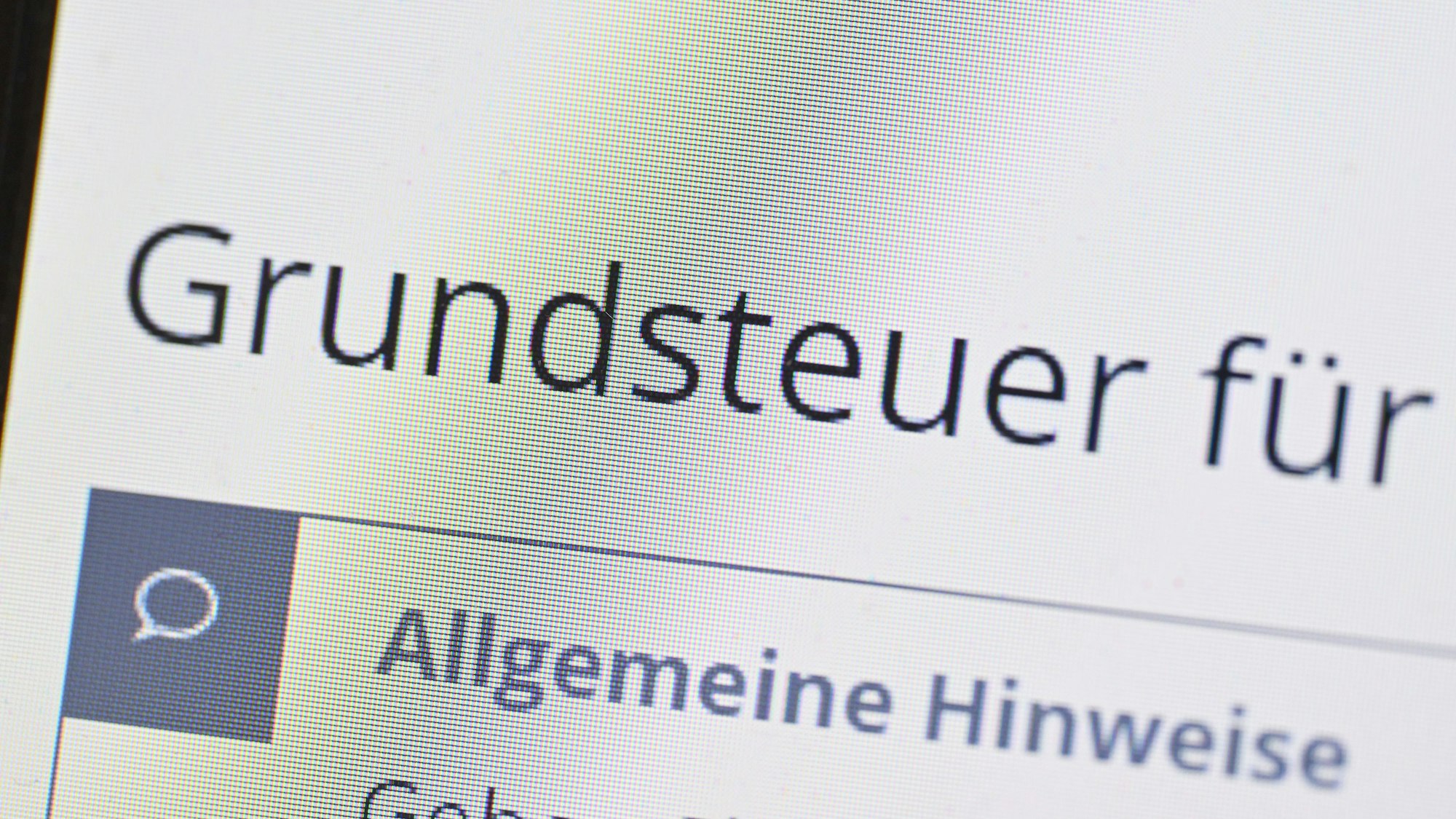 Das Wort Grundsteuer erscheint auf einem Computerbildschirm auf der Seite des Online-Steuerportals Elster