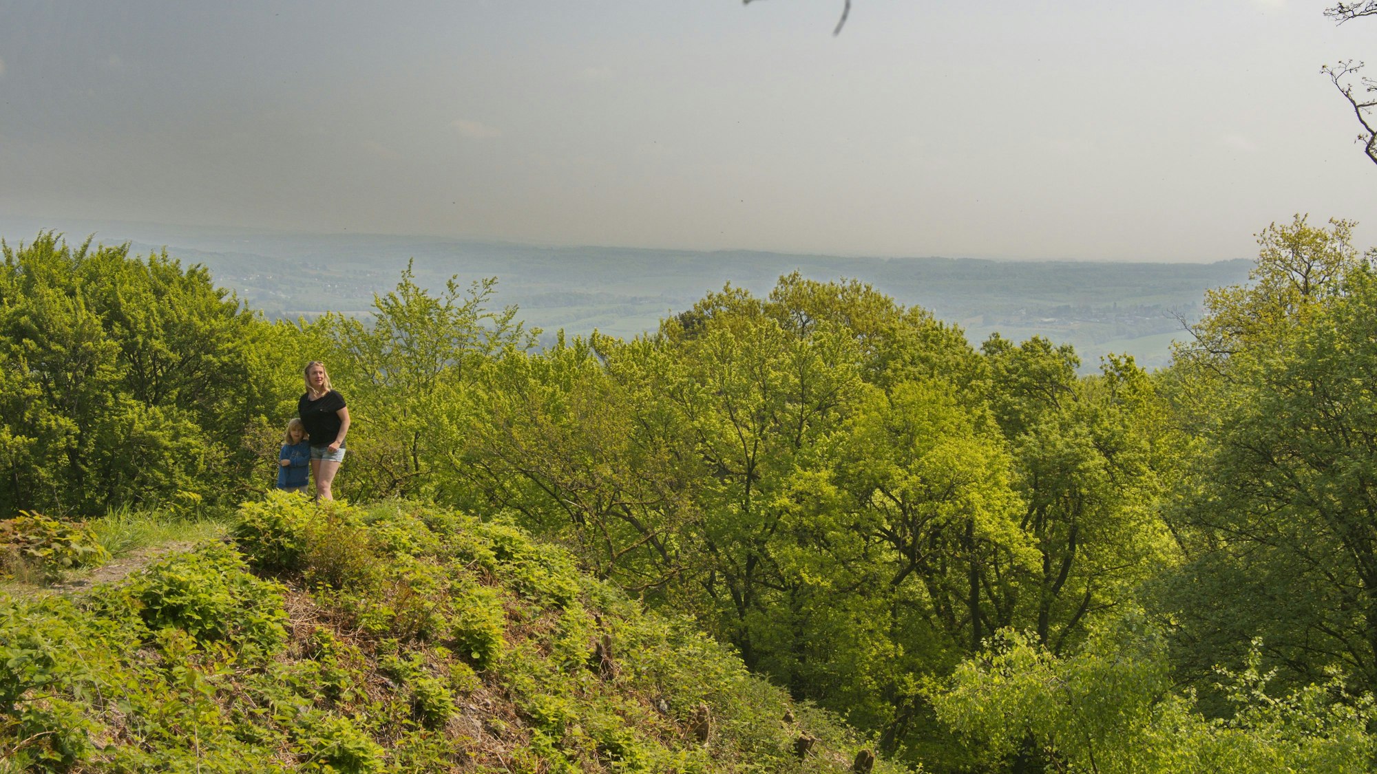 Vom Oelberg aus breitet sich das Panorama aus.