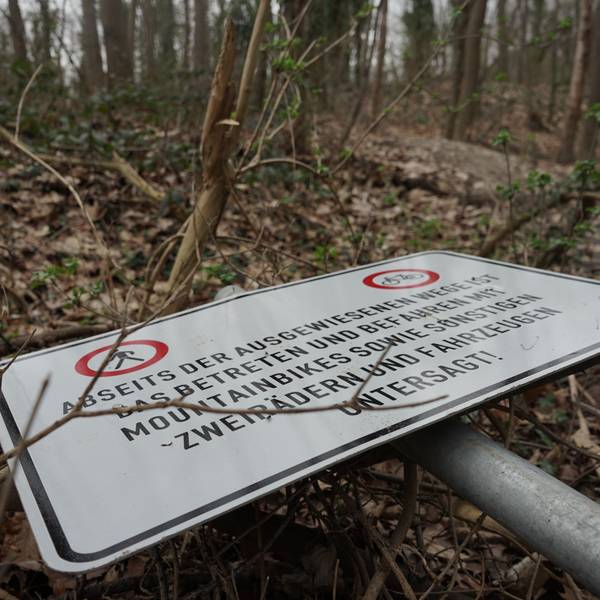 Ein Verkehrsschild liegt auf dem Waldboden.
