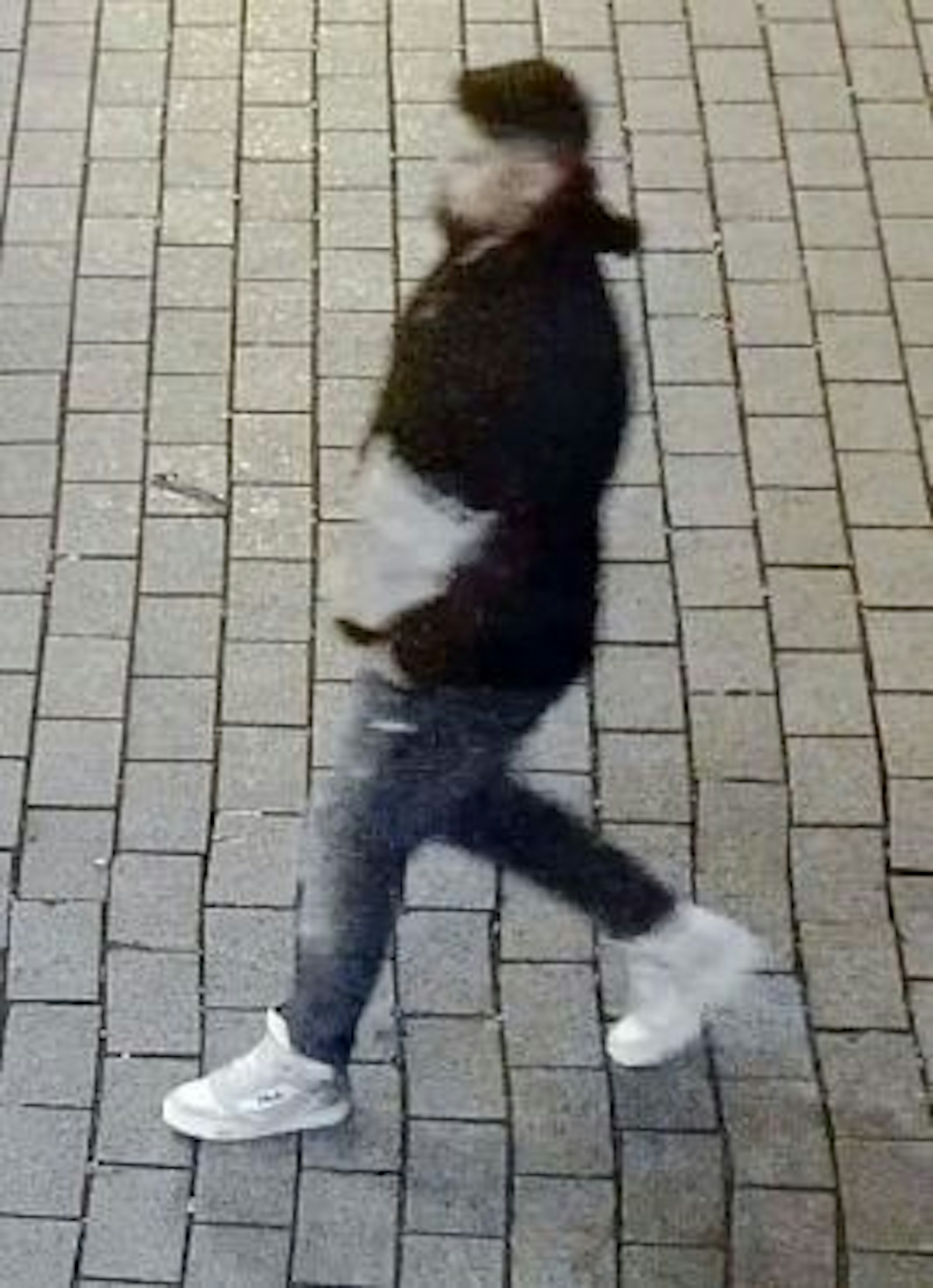 Bild des Tatverdächtigen