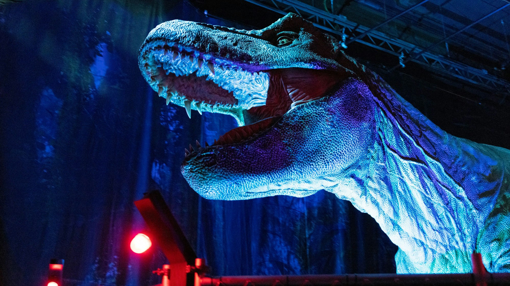 Lebensgroßer Dino in der Kölner Ausstellung