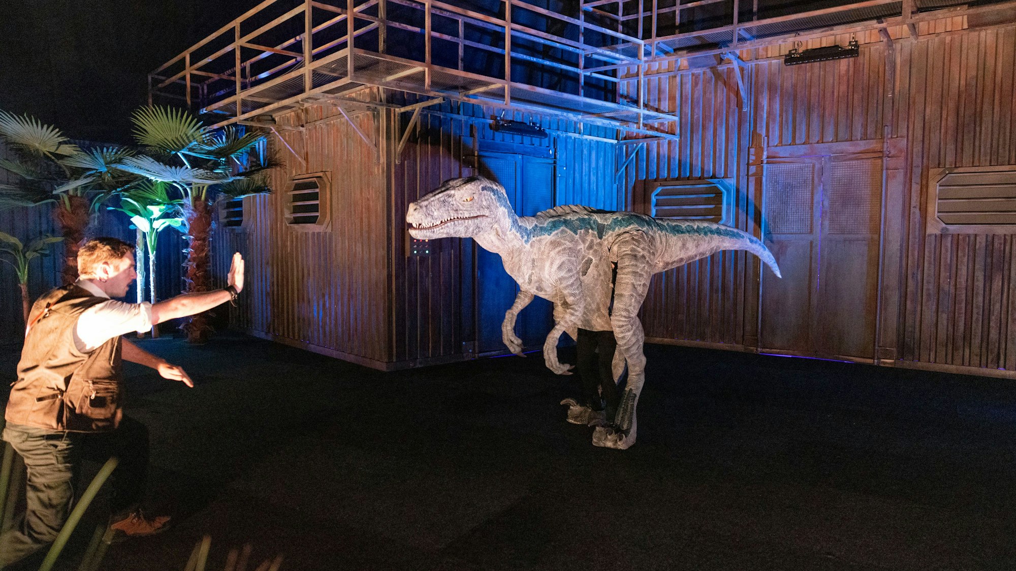 Dino in einem Gehege mit einem Ranger