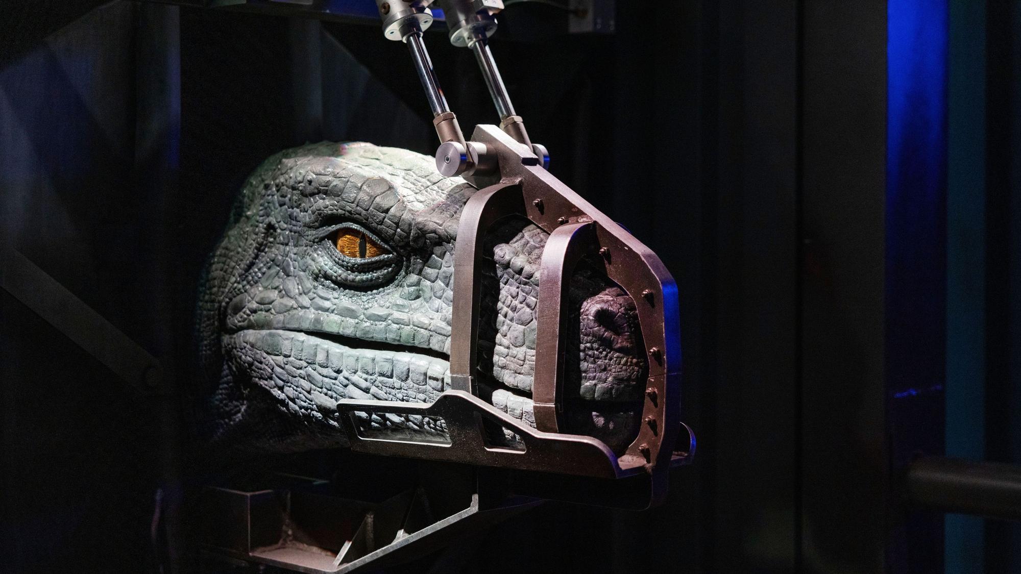 Ein Raptor mit Maulkorb
