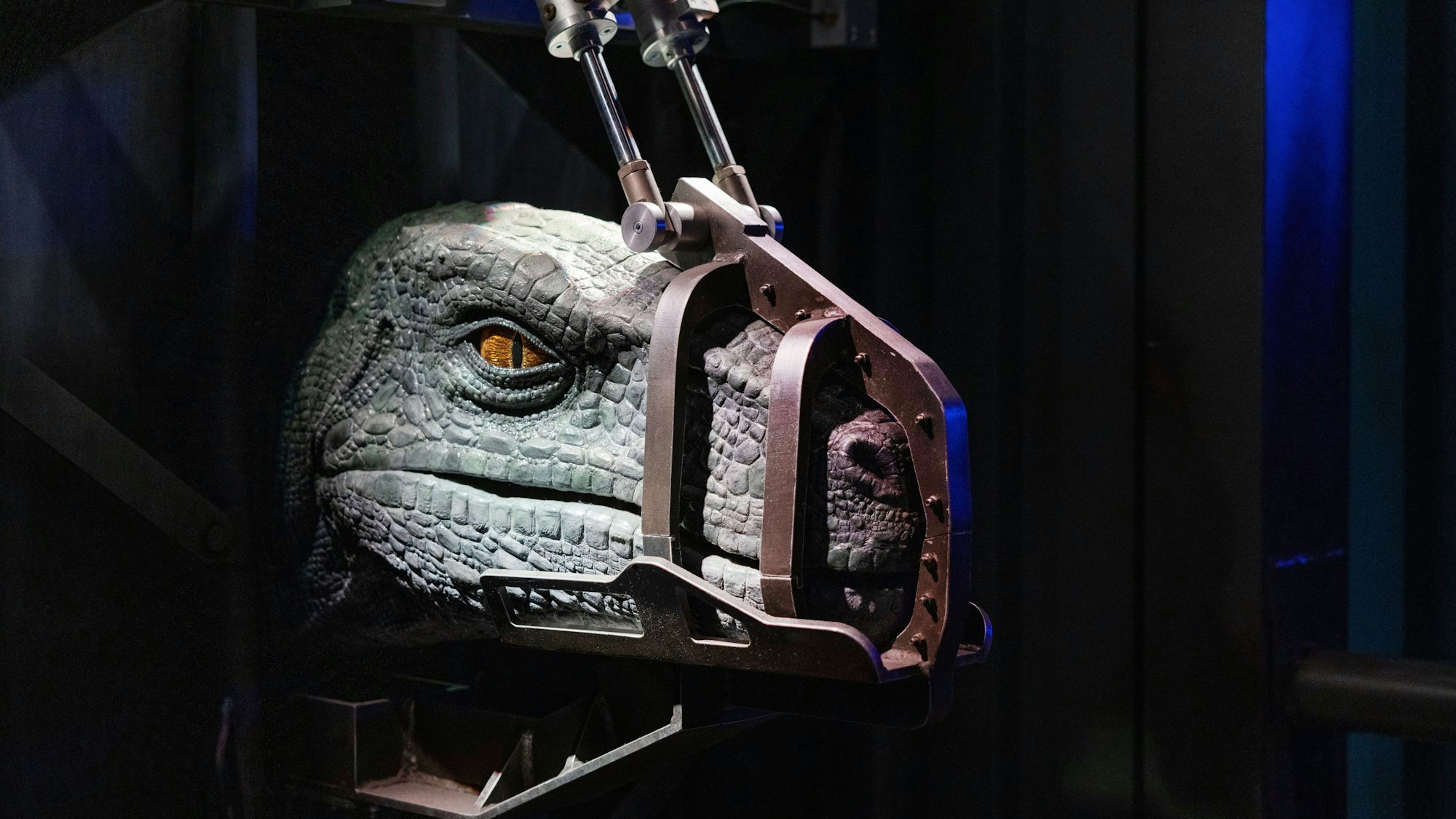 Ein Raptor mit Maulkorb