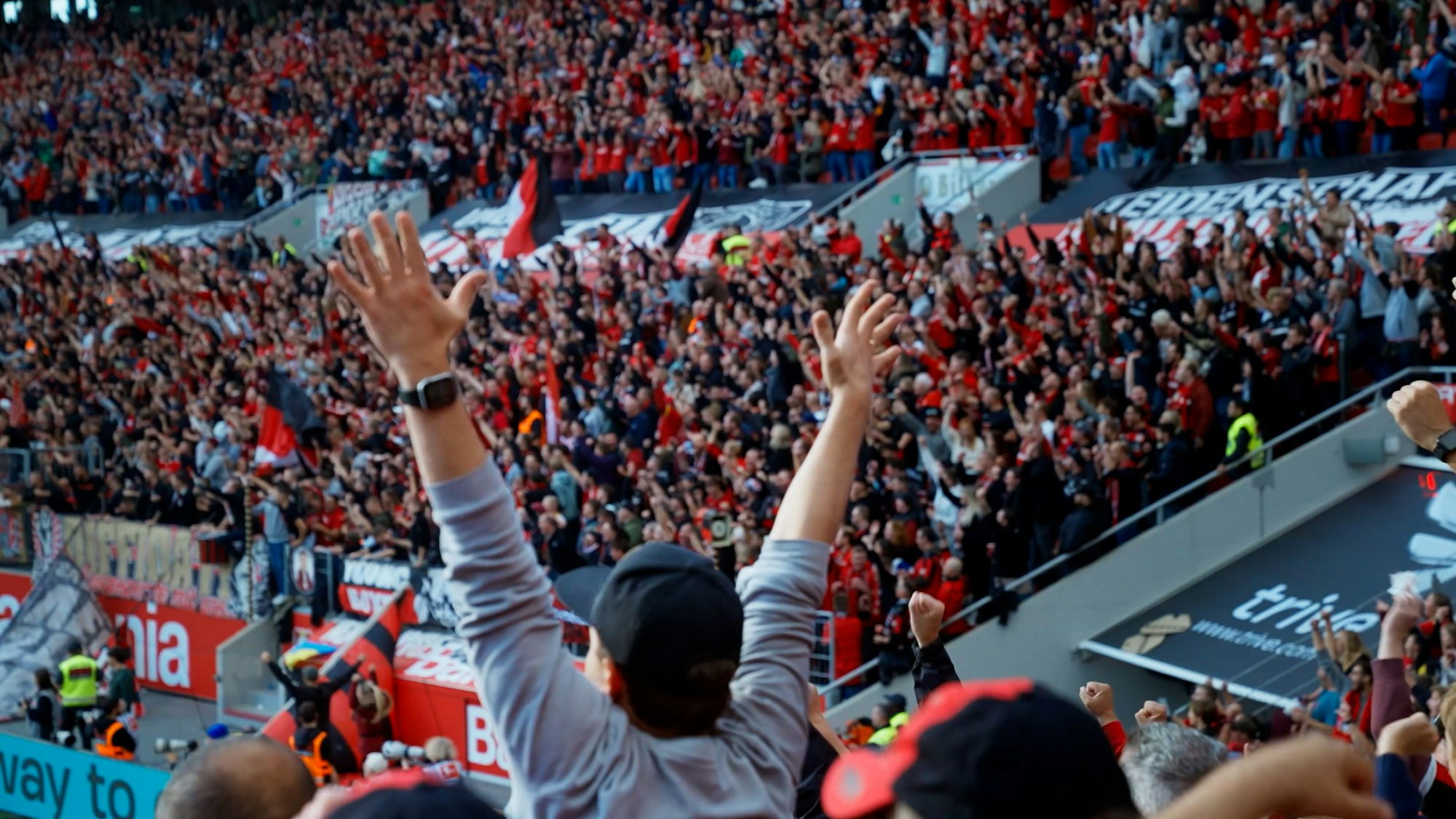 Fans in der Bay-Arena jubeln.