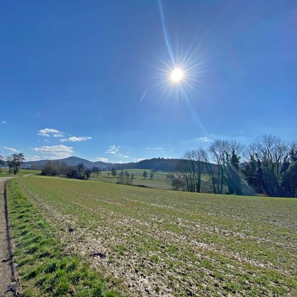 Das Siebengebirge bietet traumhafte Aussichten.