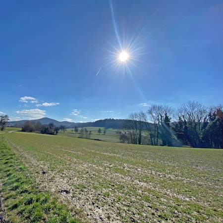 Das Siebengebirge bietet traumhafte Aussichten.