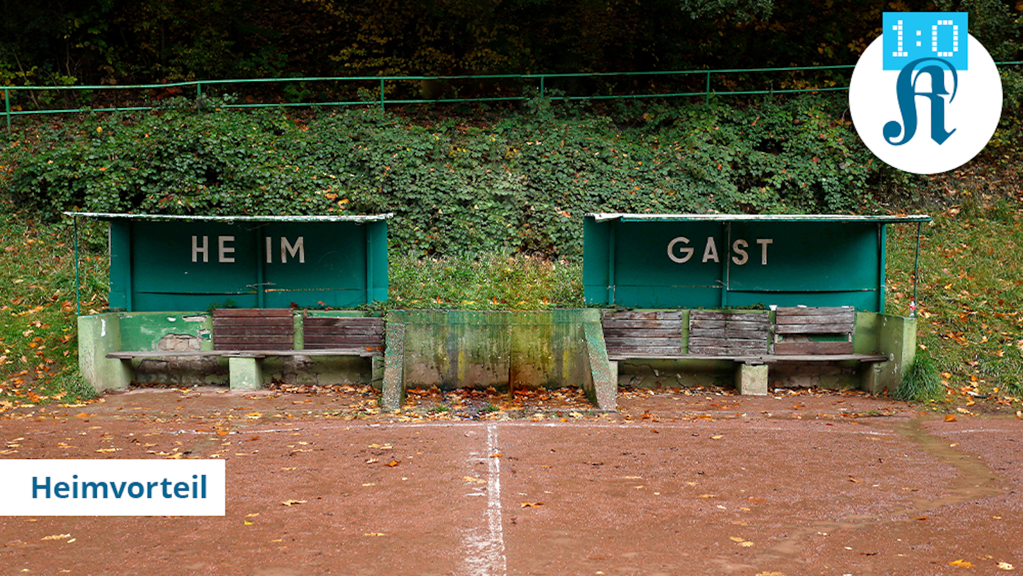 Mehrere Menschen stoßen mit Weingläsern über einem gedeckten Holztisch an.