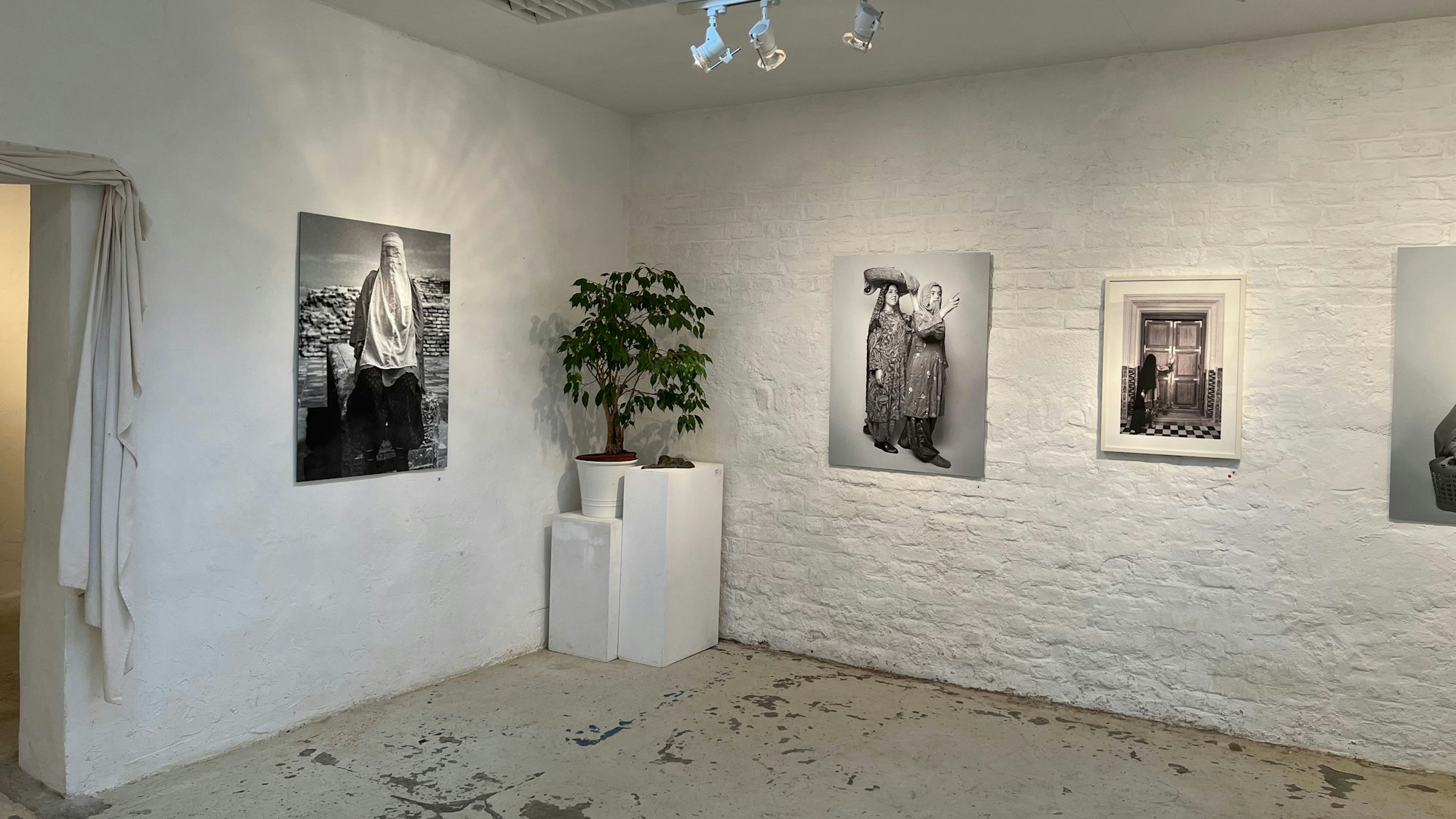 Mehrere Schwarz-Weiß-Fotos an einer Wand.