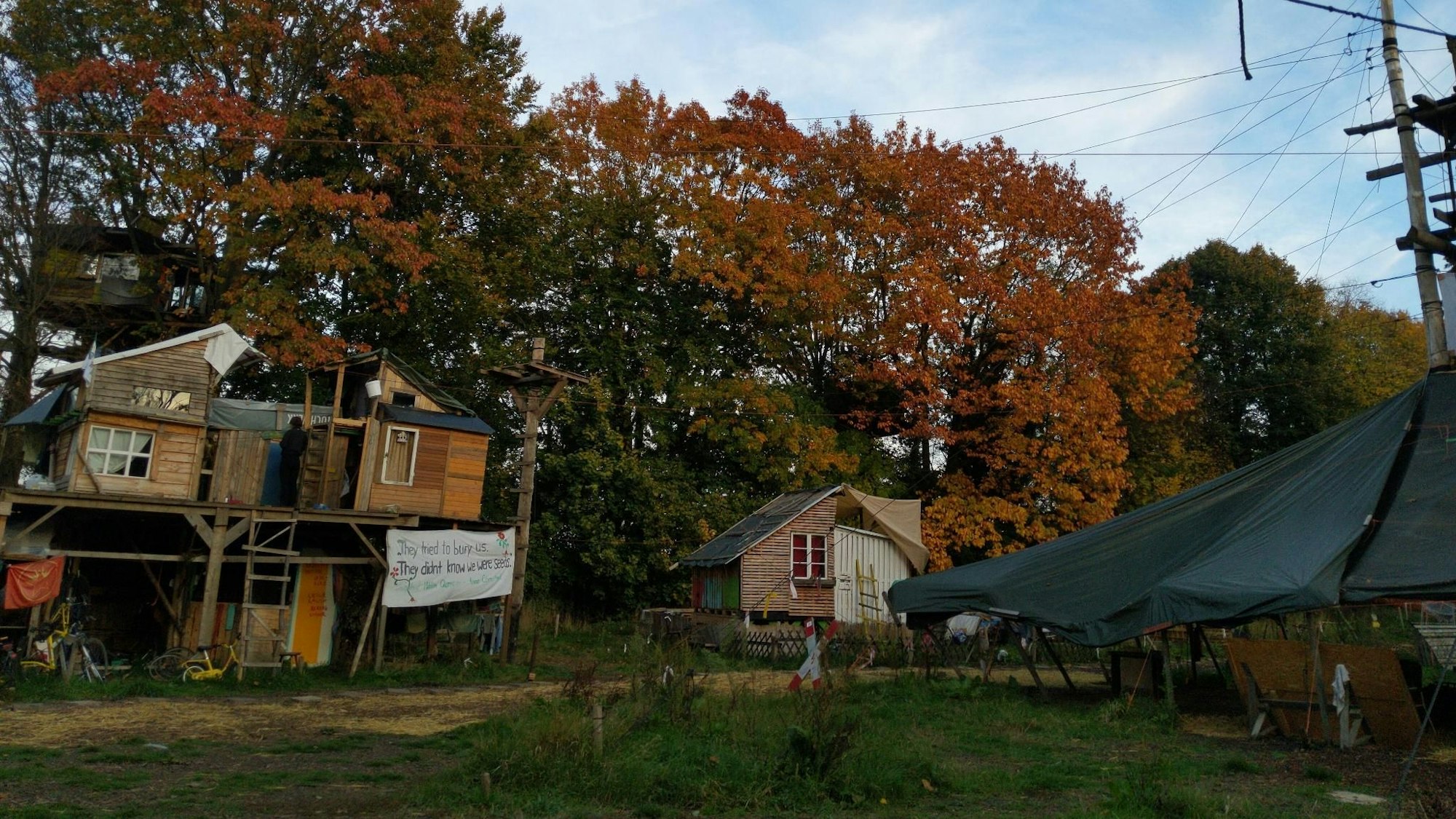Eindrücke aus Lützerath: Baumhäuser und Hütten stehen an einer Waldkante.