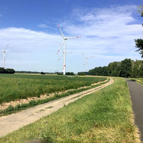Windräder stehen an der Straße.