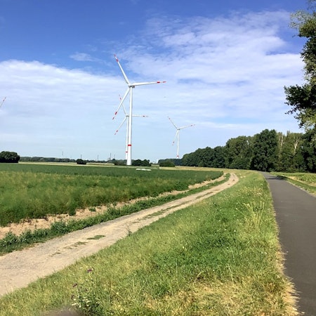 Windräder stehen an der Straße.