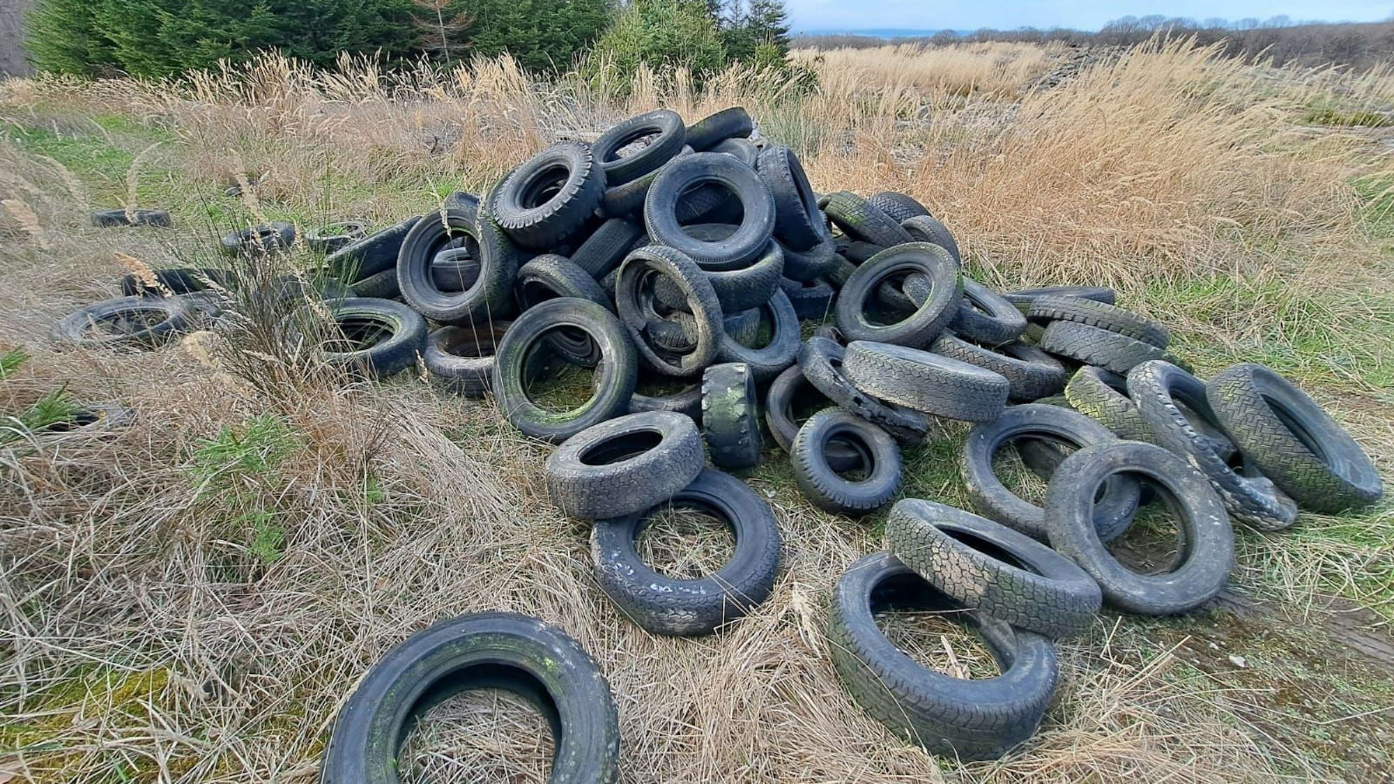 Reifen liegen in großer Anzahl auf dem Waldboden.