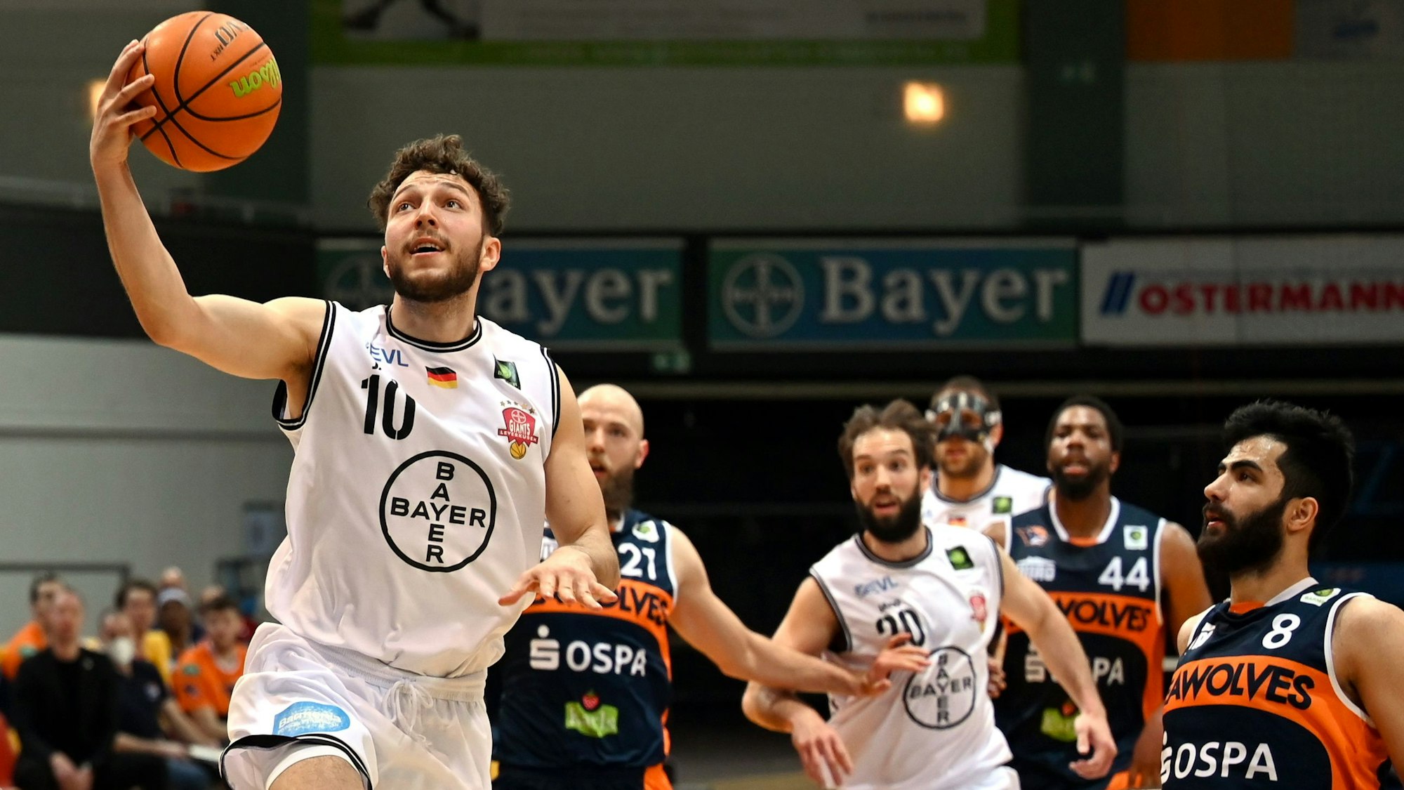 Basketball
Bayer Giants Leverkusen - Rostock
Korb von Haris Hujic (Bayer)
Foto: Uli Herhaus