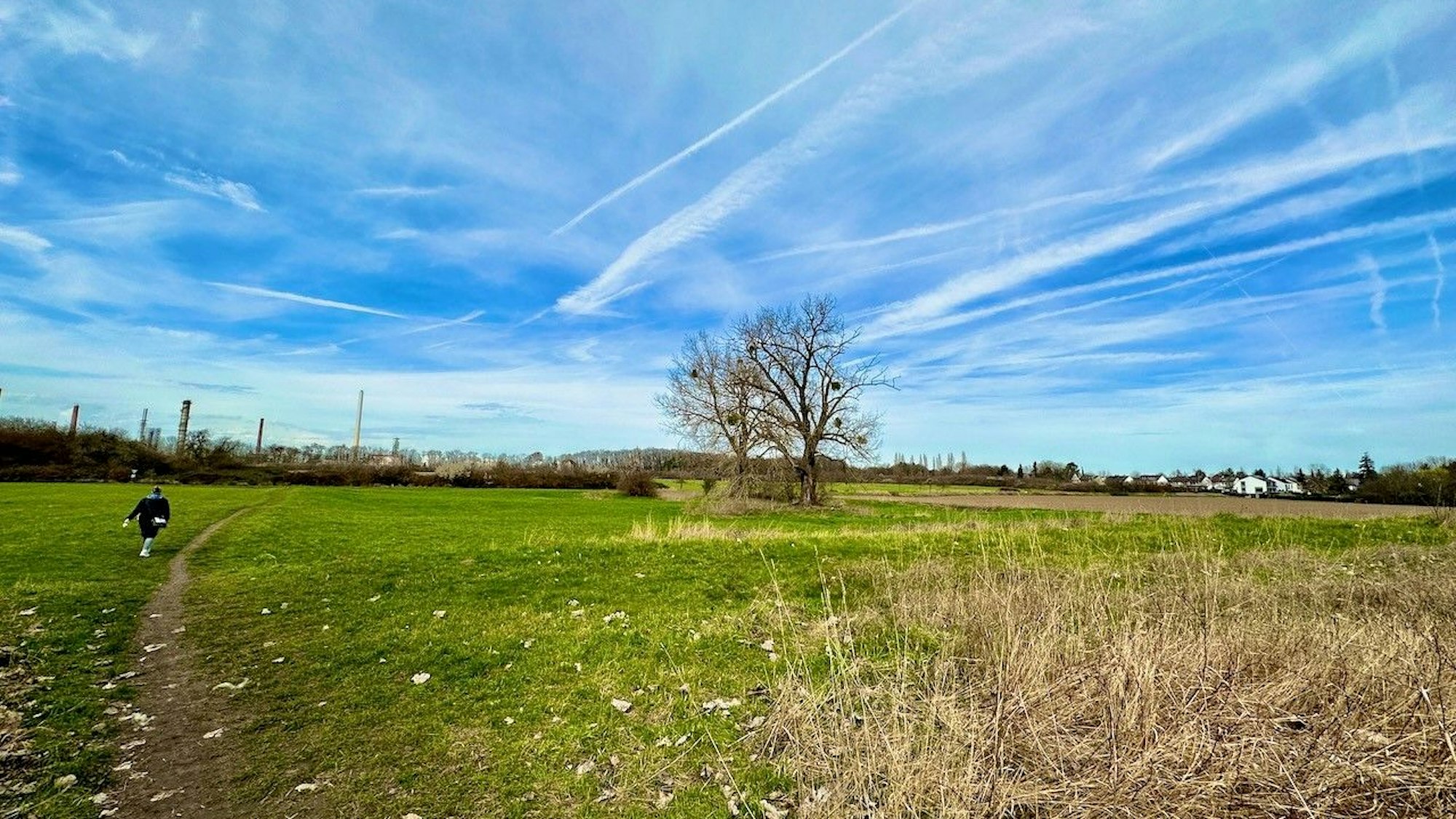 Eine große Wiesenfläche ist zu sehen.