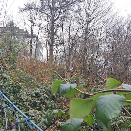 Geplanter Neubau an der Louise-Schröder-Straße