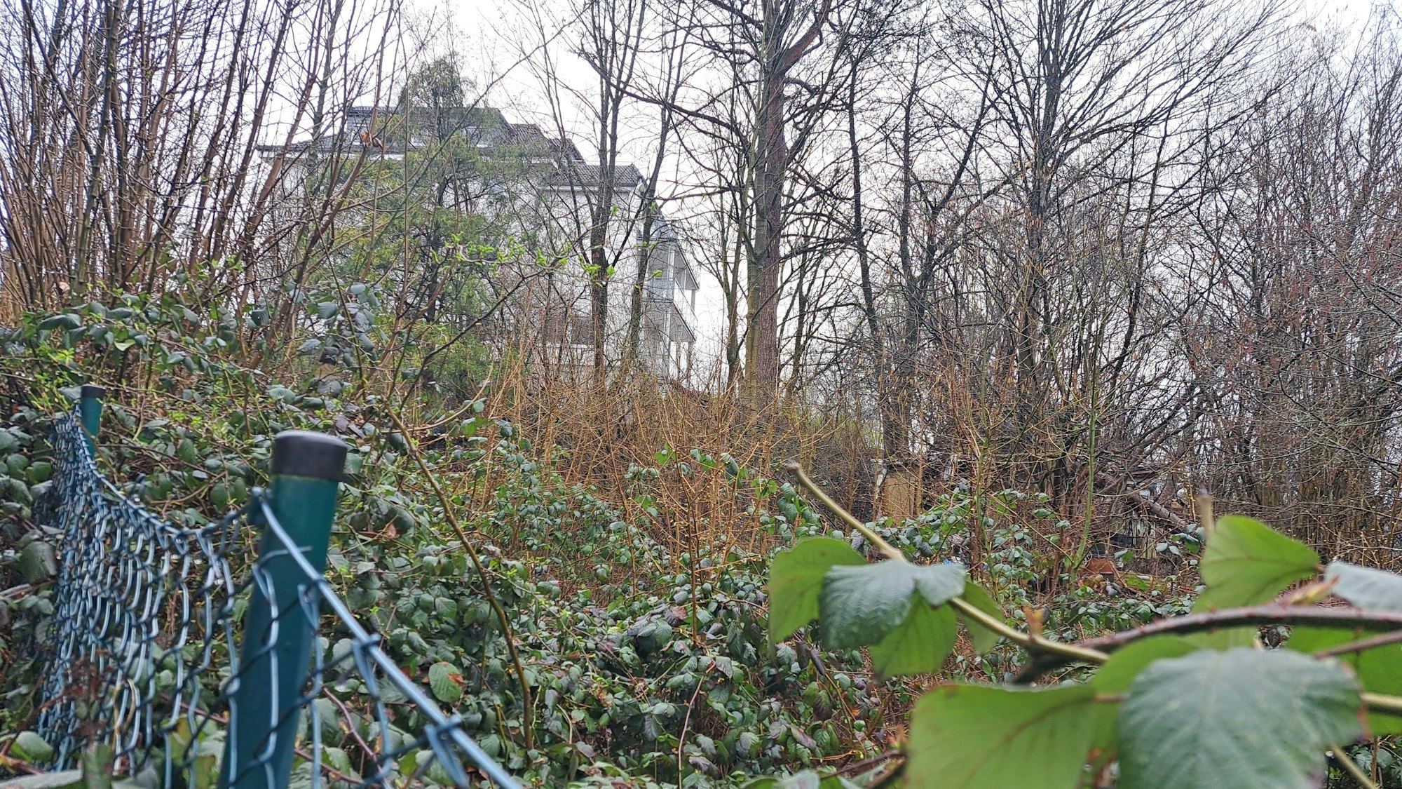 Geplanter Neubau an der Louise-Schröder-Straße