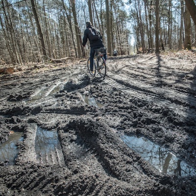 Kaputte Hauptwege durch Holzfäll-Maschine Harvester und Holztransporter.