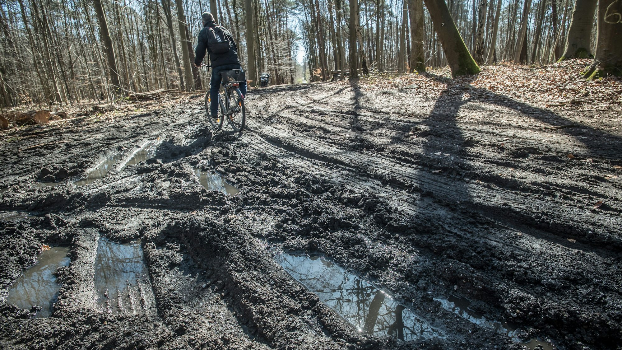 Kaputte Hauptwege durch Holzfäll-Maschine Harvester und Holztransporter.