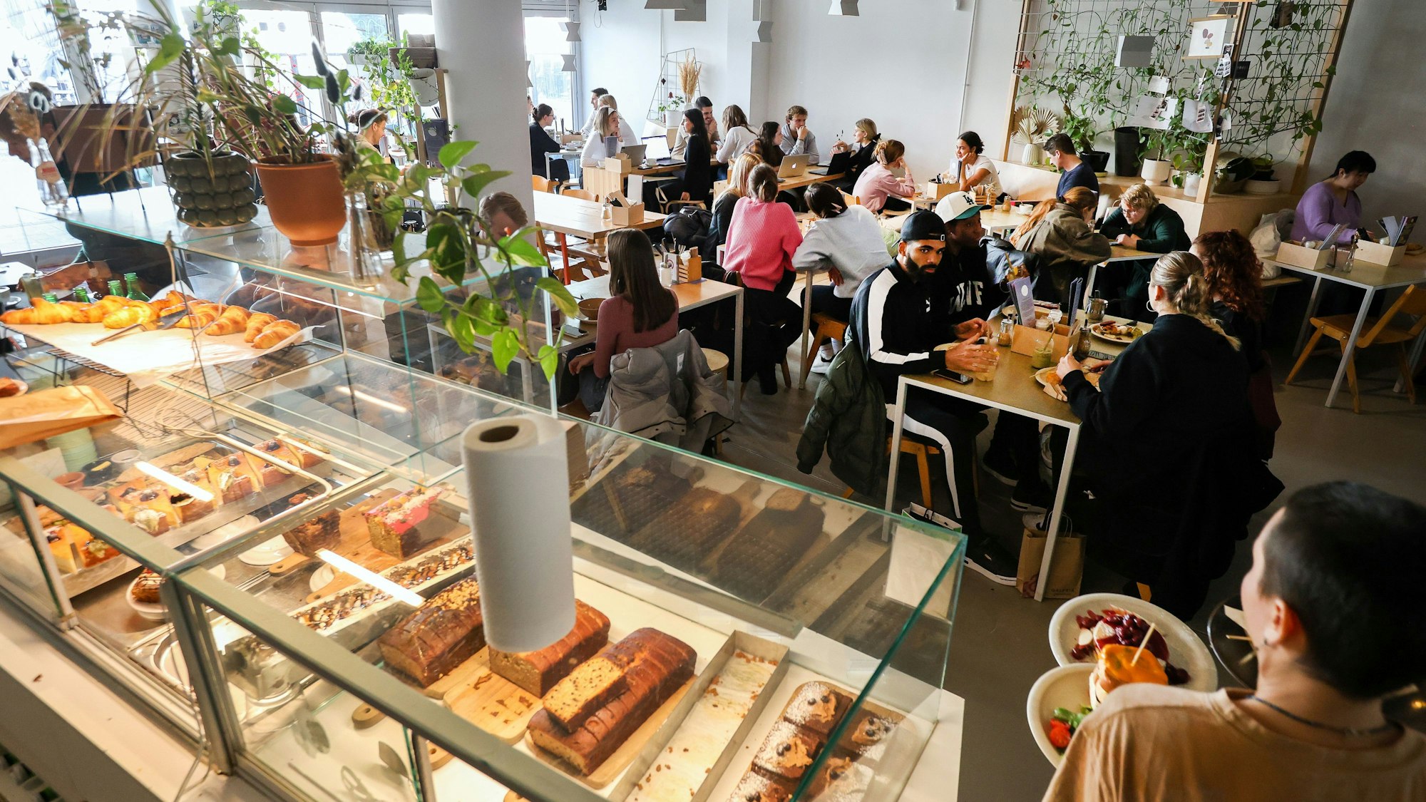 Kuchentheke und Blick in den Innenraum des Kaffeesaurus