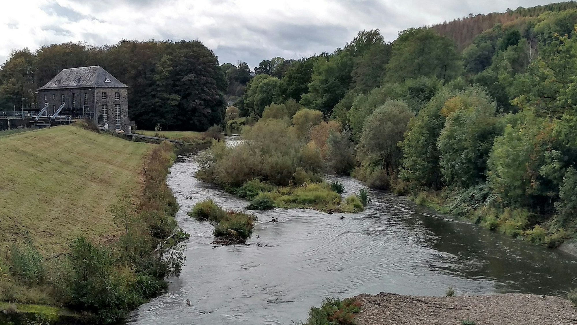 Blick vom Wehr Ohl-Grünscheid auf die Agger. Die Kiesinsel ist noch zu sehen.