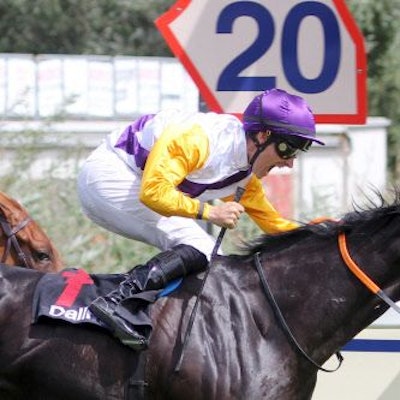 Hengst Sammarco mit Rene Piechulek gewinnt den Großen Dallmayr-Preis auf der Galopprennbahn München.