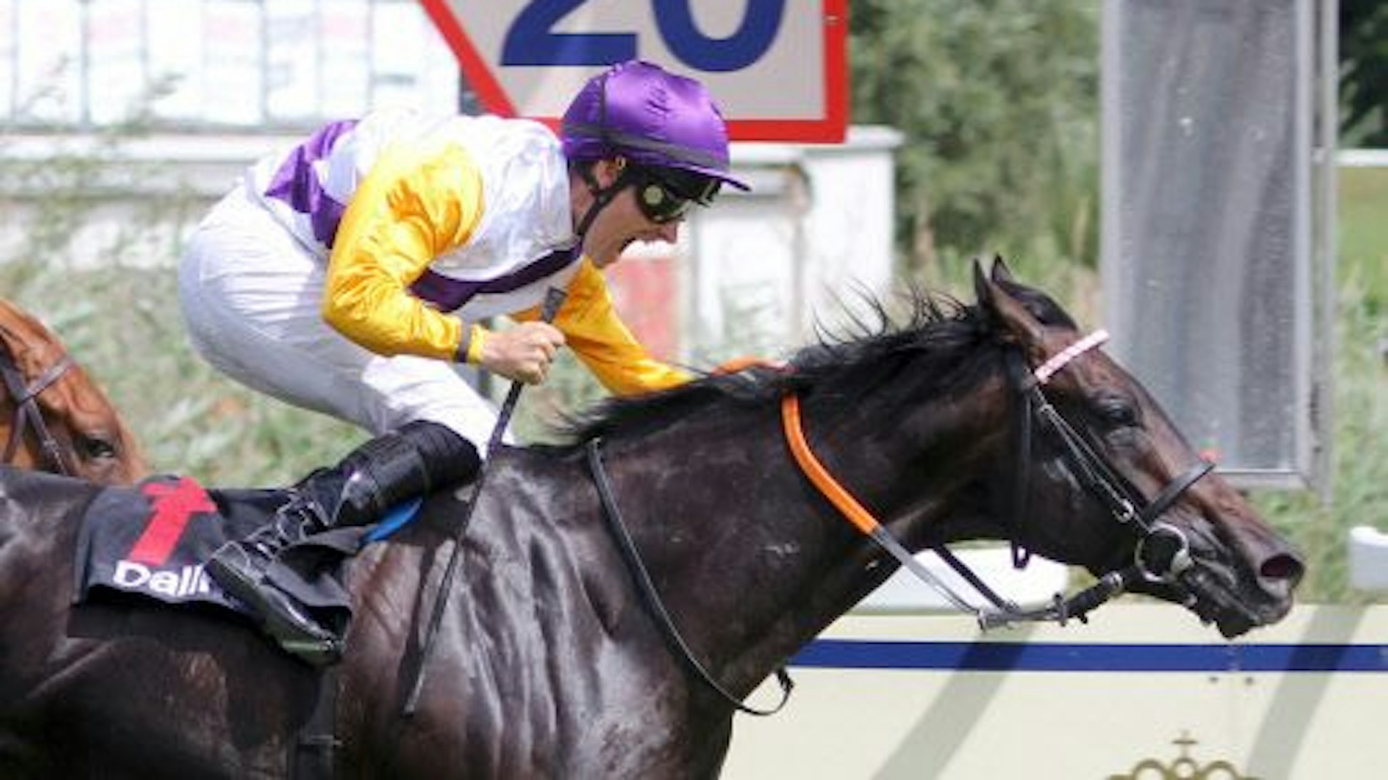 Hengst Sammarco mit Rene Piechulek gewinnt den Großen Dallmayr-Preis auf der Galopprennbahn München.