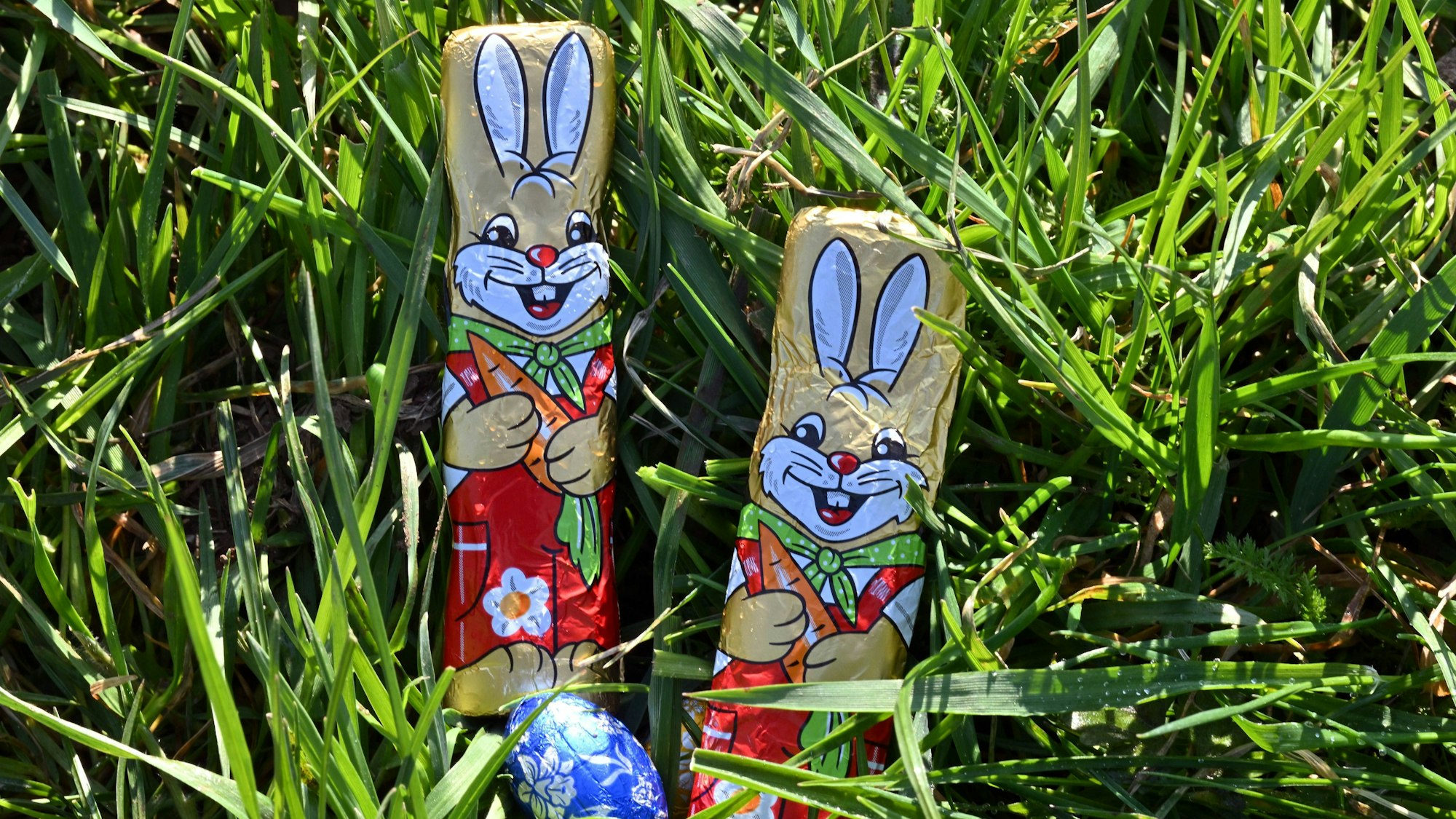 Thüringen, Weimar: Schokolade liegt im Gras für die Haseneiersuche auf der Wiese vor Goethes Gartenhaus im Park an der Ilm. Die Klassik Stiftung Weimar knüpft damit an die traditionelle Haseneiersuche an, die Goethe 1777 ins Leben rief und bis ins hohe Alter als Kinderfest für die eigene Familie und Freunde am Gründonnerstag veranstaltete.