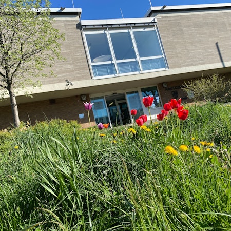 Eher schmucklos wirkt das Gerichtsgebäude in Bensberg, blühende Blumen verschönern es.