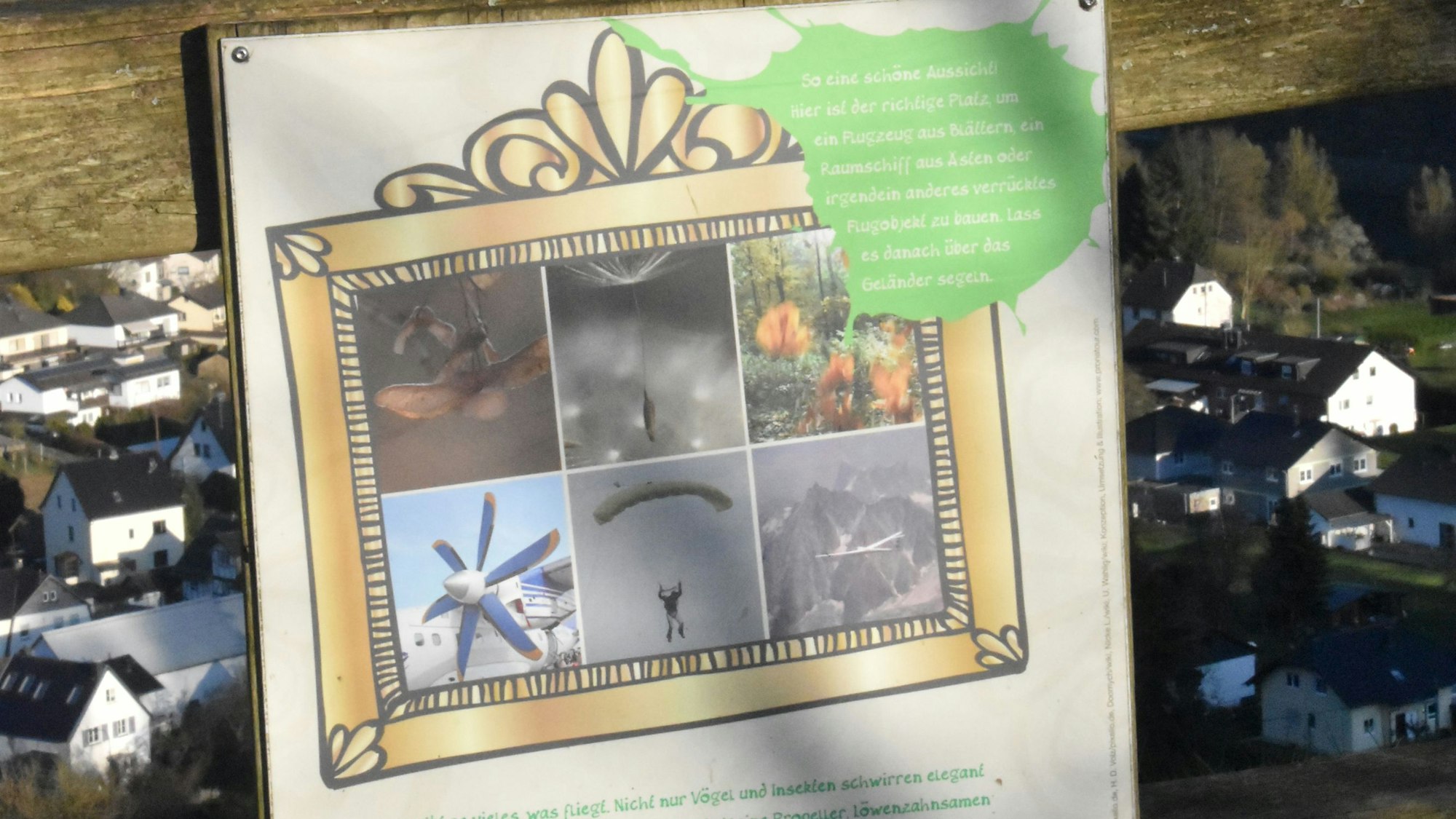 Blick auf eine Infotafel am Wanderweg.