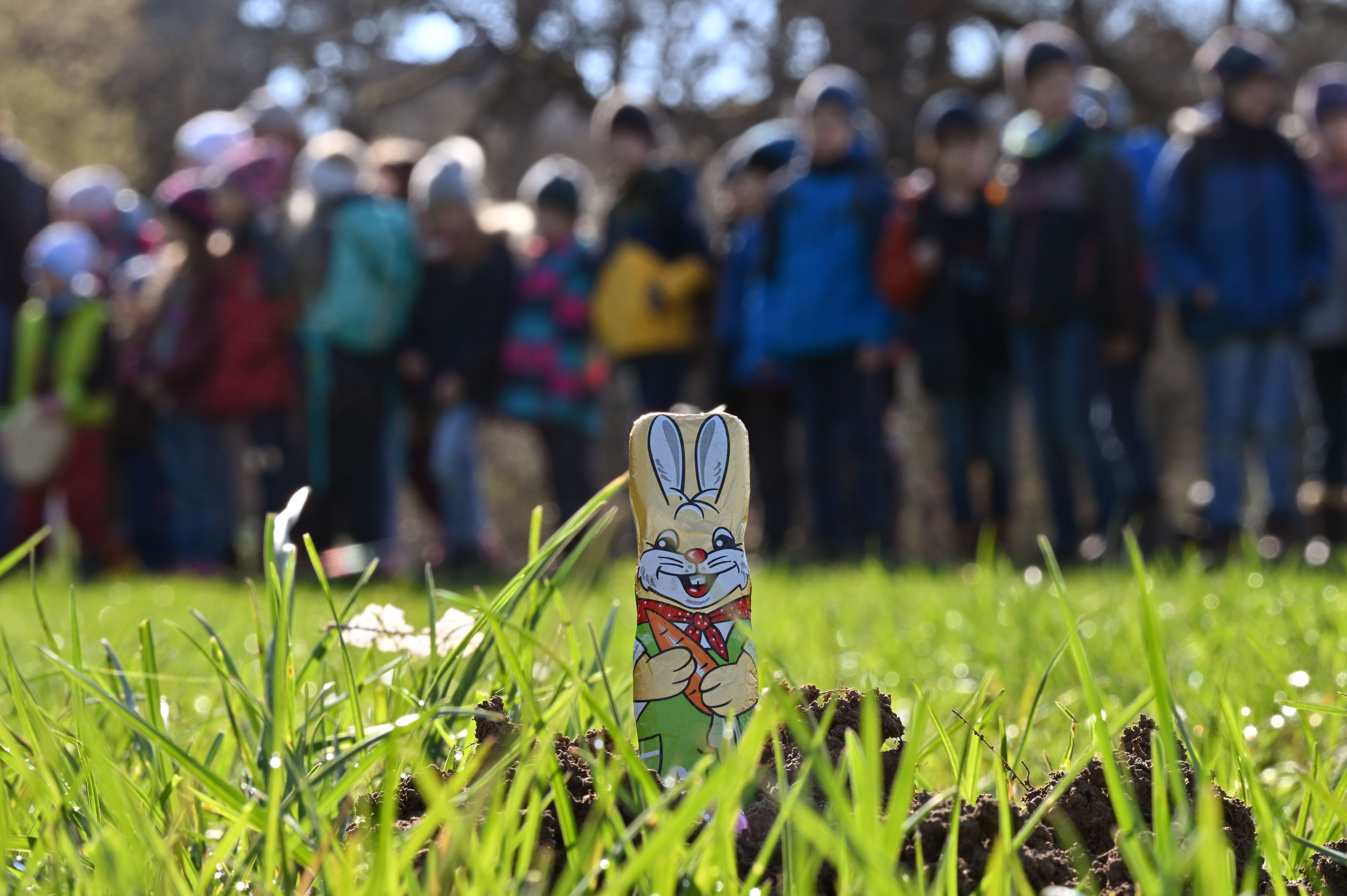 Ein Schokoladenhase liegt im Gras.
