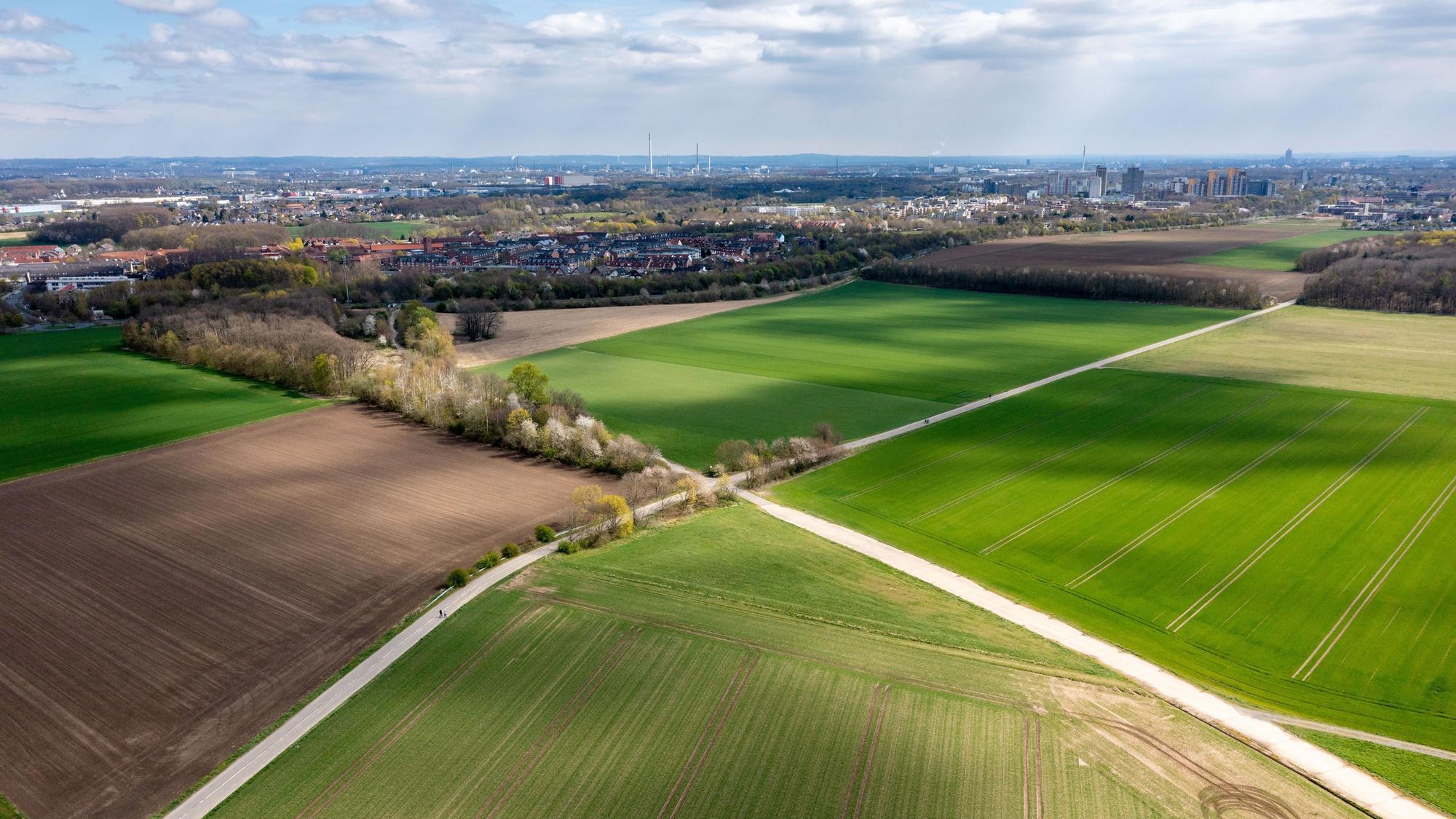 Erst Olympia und dann ein neues Veedel? Das Kreuzfeld-Gelände im Kölner Norden.