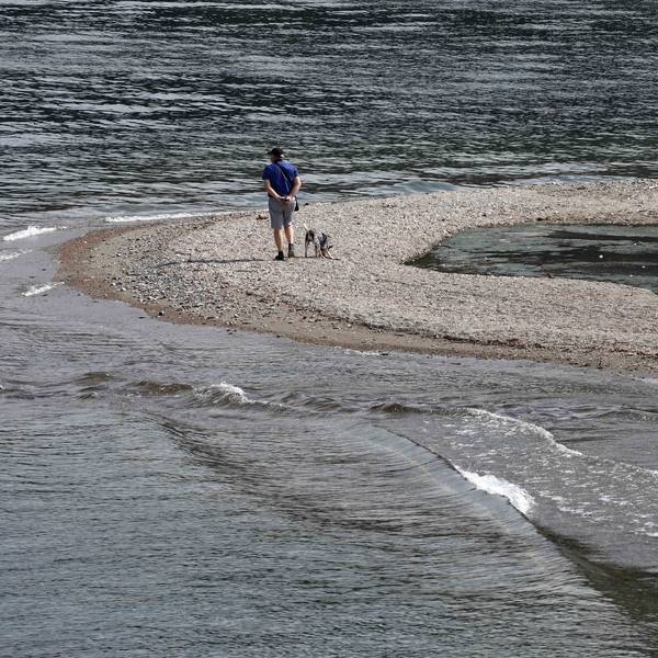 Ein Mann geht mit seinem Hund am Comer See spazieren.