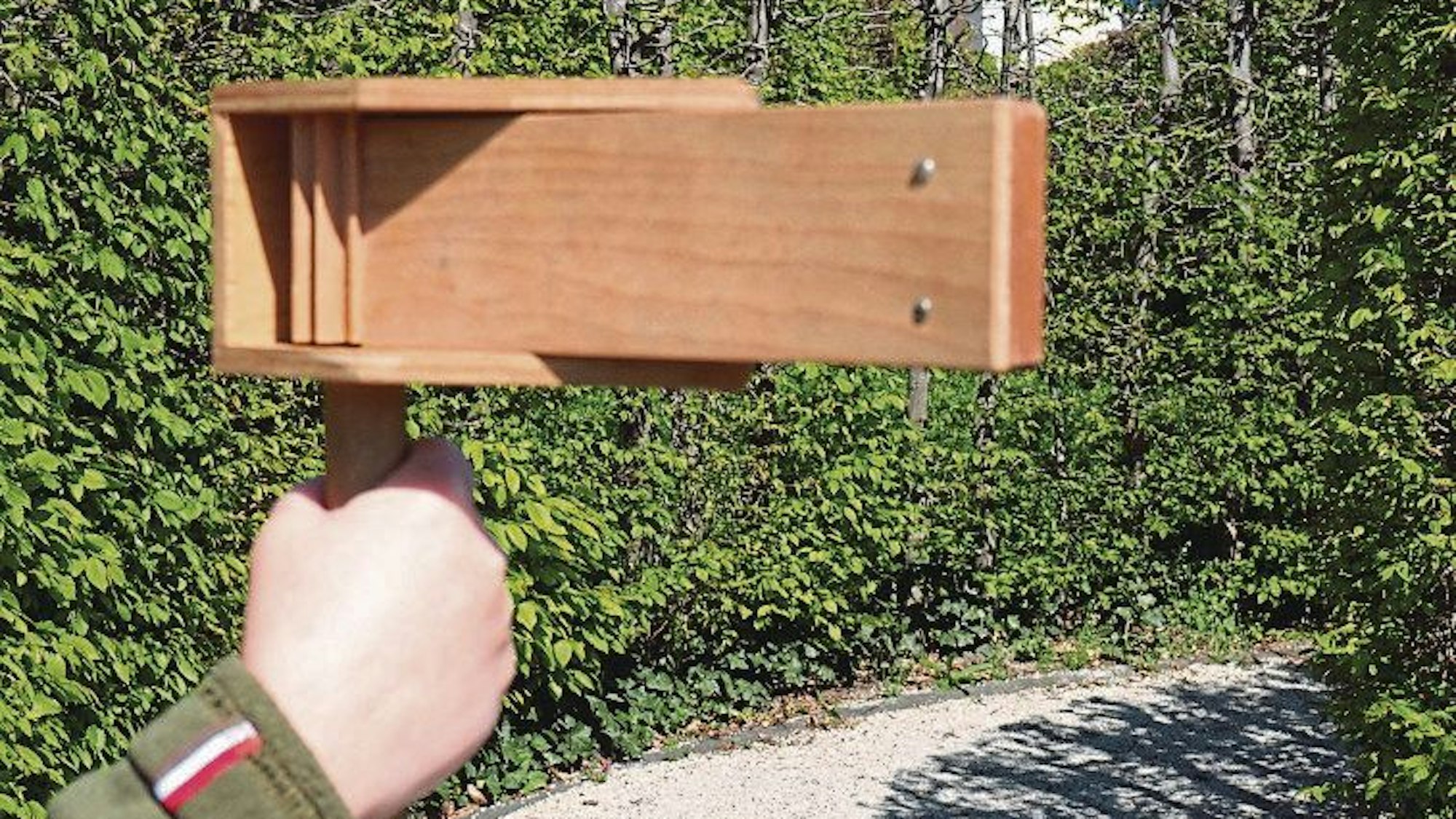 Das Bild zeigt eine Raspel aus Holz.