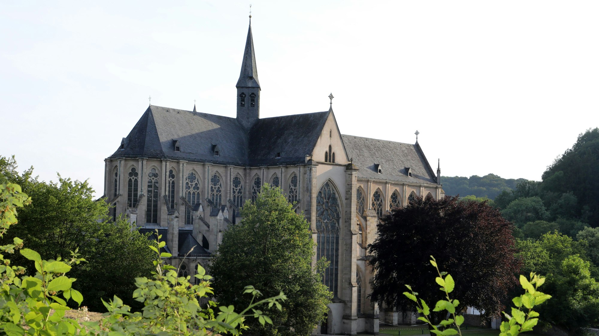 Der Altenberger Dom ragt aus dem Grünen