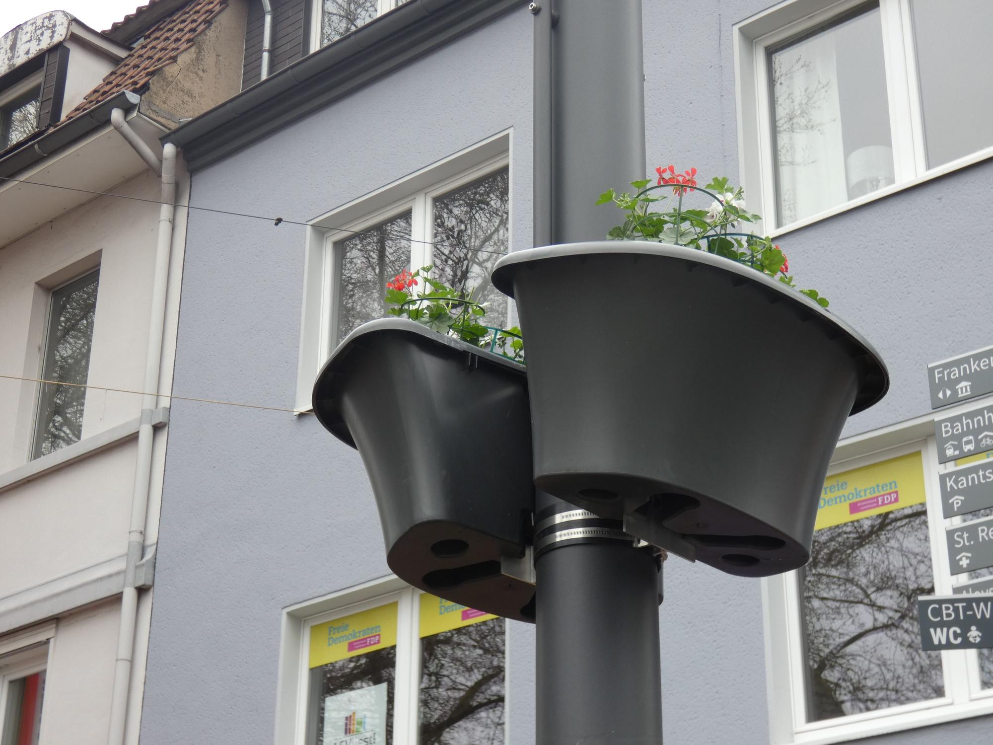 Blumenampel