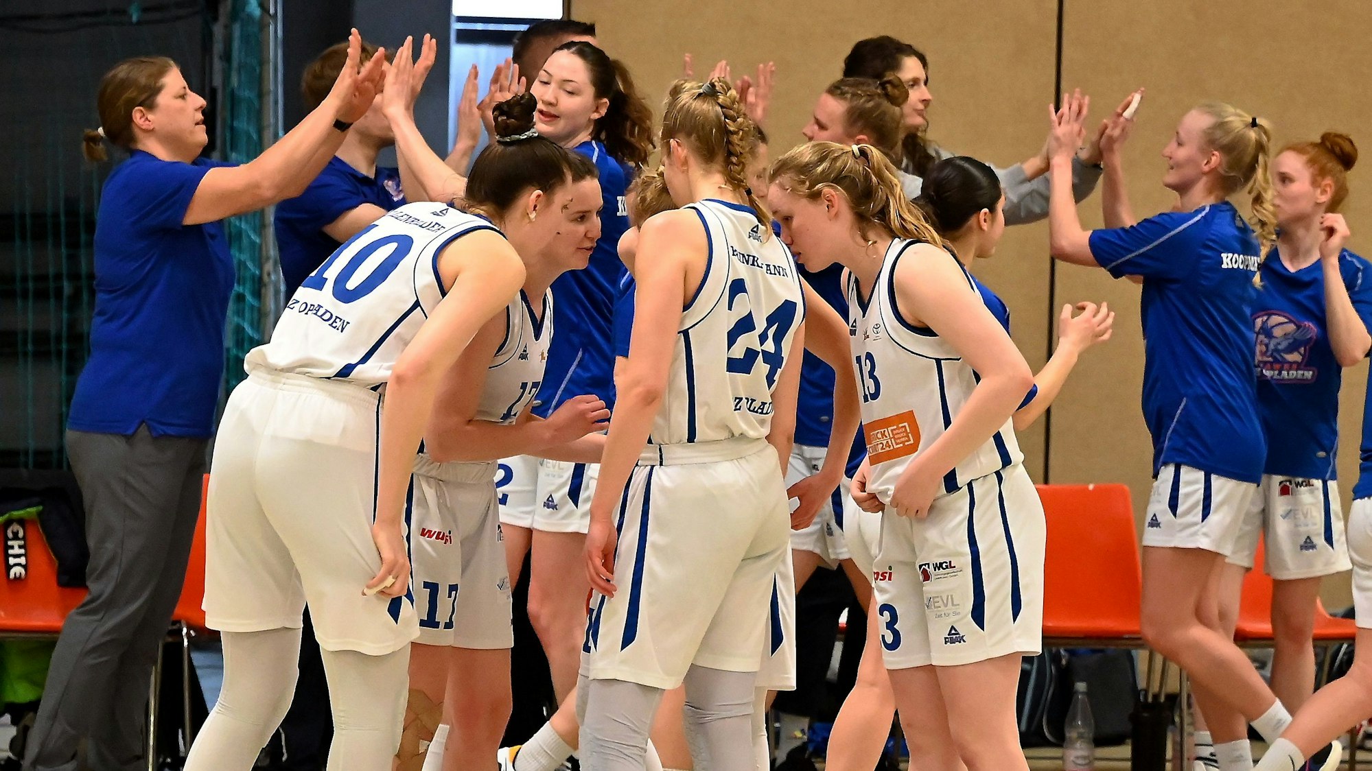 08.04.2023, Basketball-BBZ Opladen-USC Freiburg 2
BBZ Opladen
Foto: Uli Herhaus