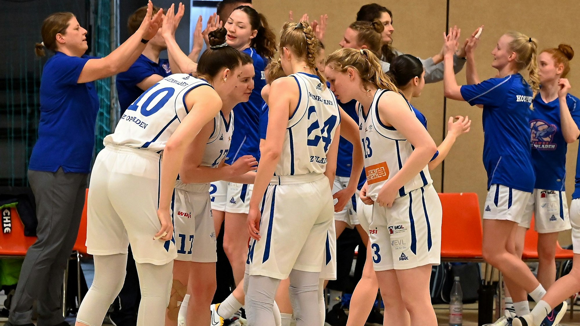 08.04.2023, Basketball-BBZ Opladen-USC Freiburg 2
BBZ Opladen
Foto: Uli Herhaus