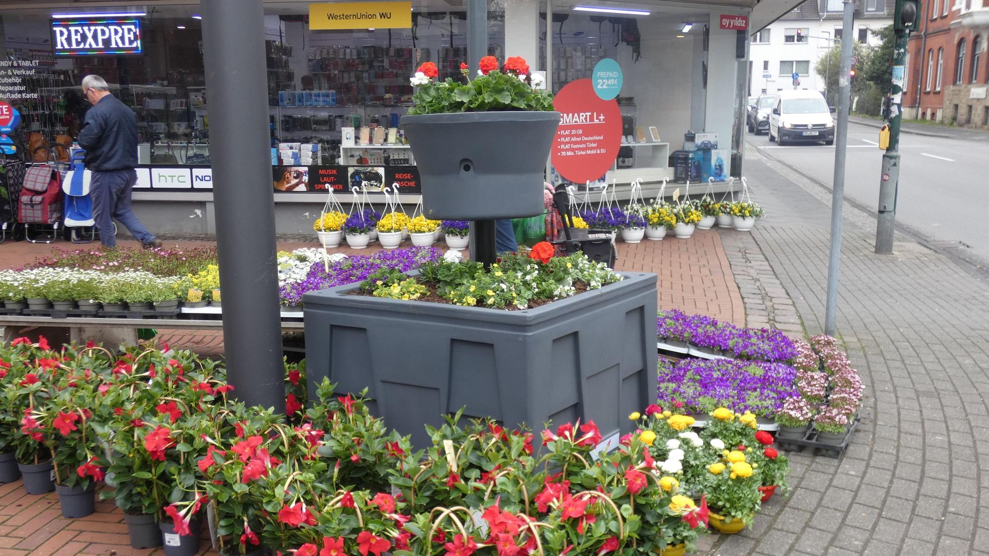 Blumenampel