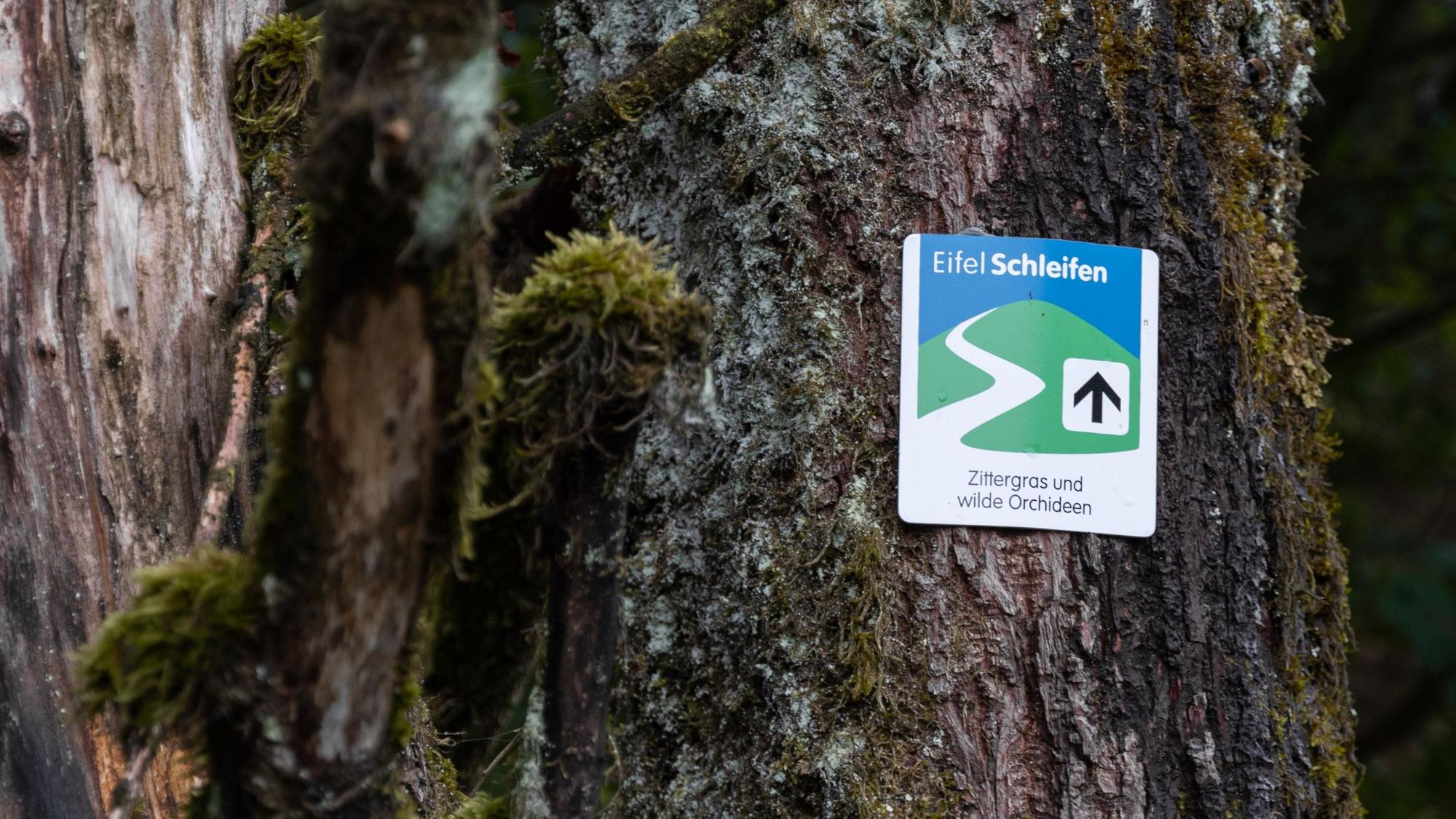 Wegweiser Eifelschleifen Zittergras und wilde Orchideen.