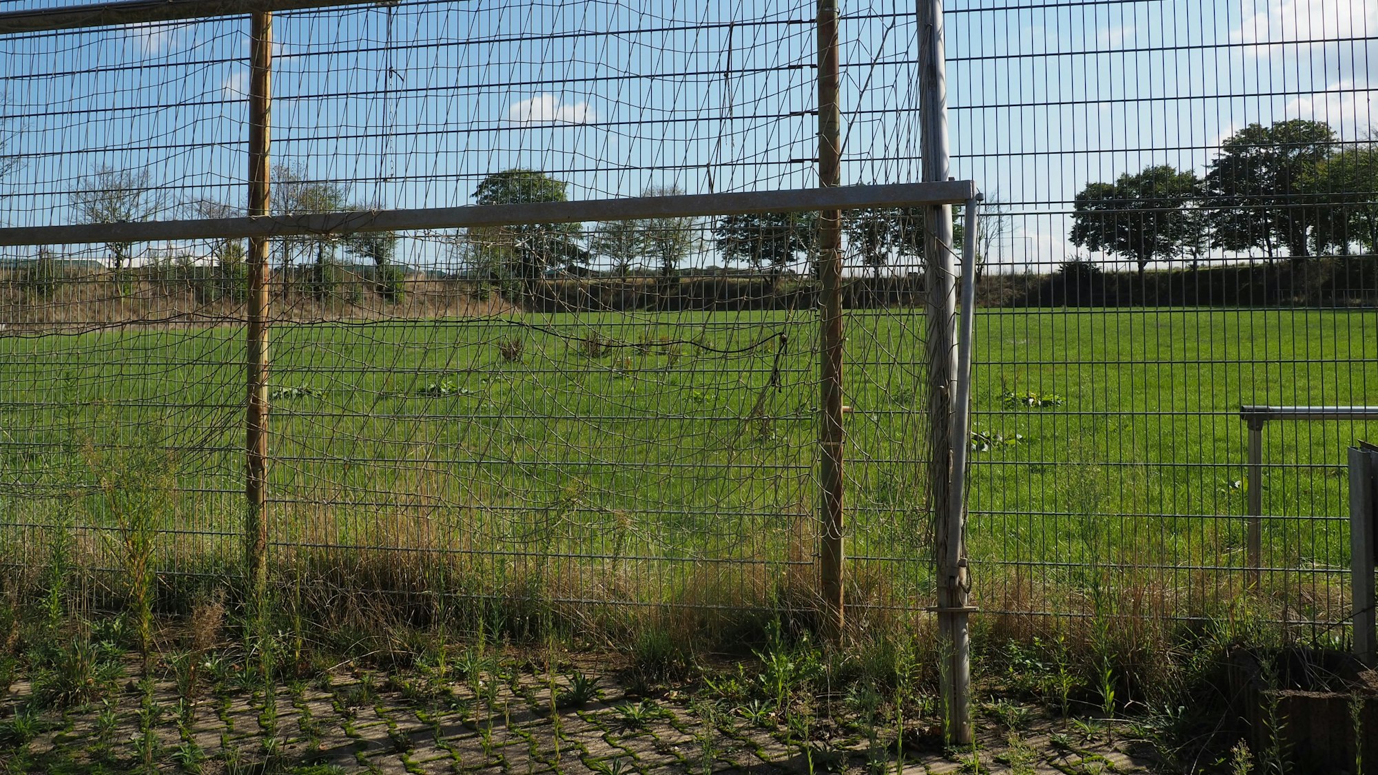 Der Rasenplatz ist verwildert.