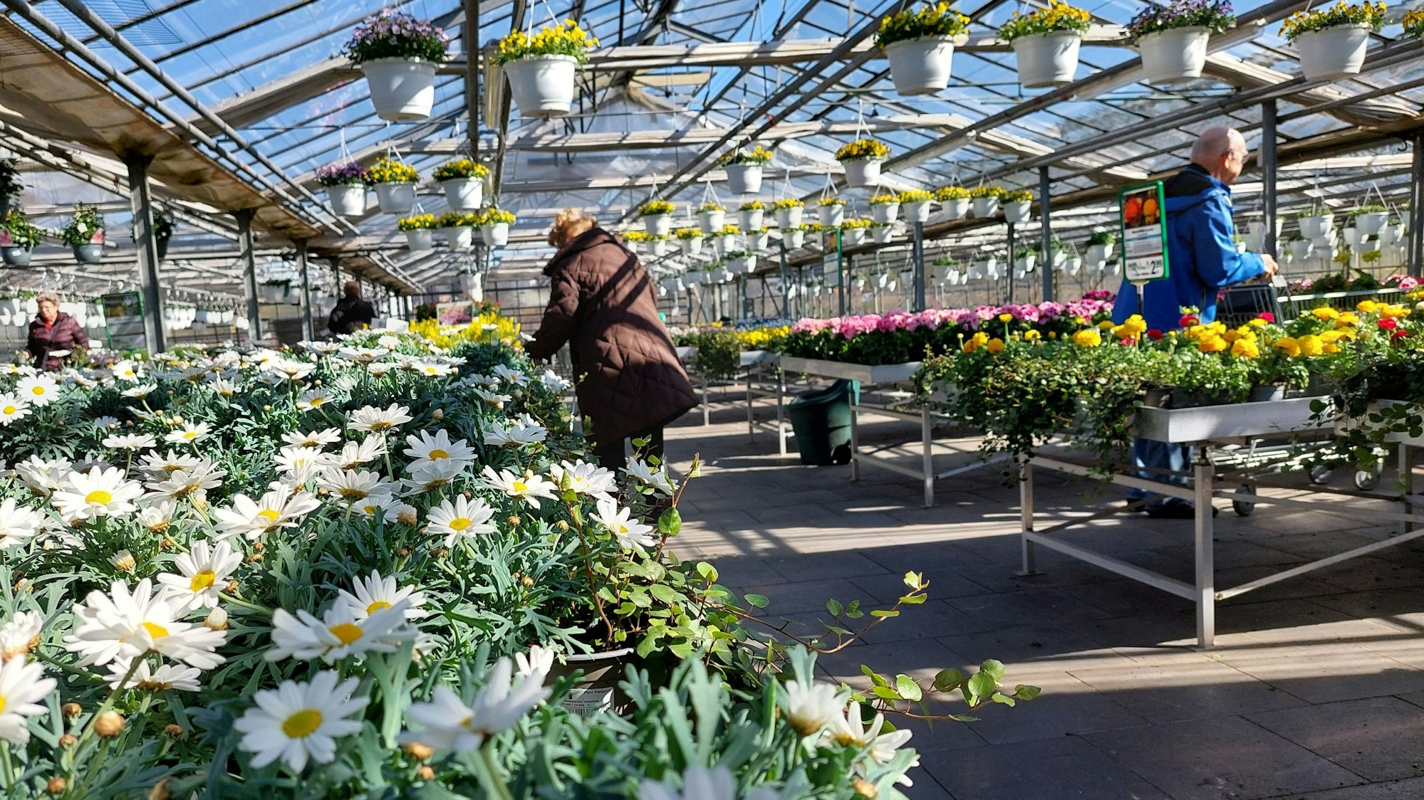Kunden kaufen Frühlingsblüher im Gartencenter Porten
